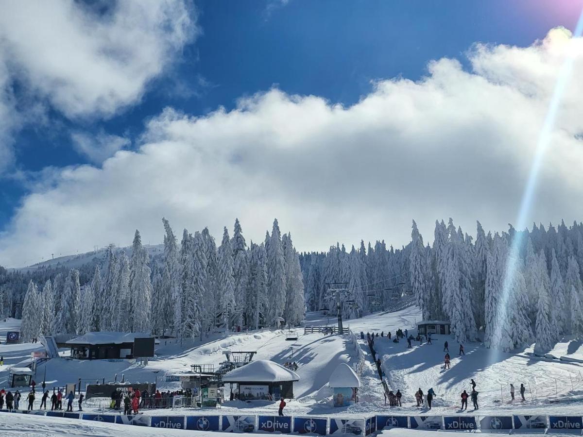 Tramontana Kopaonik Woodside 201&211, FREE Parking & SPA