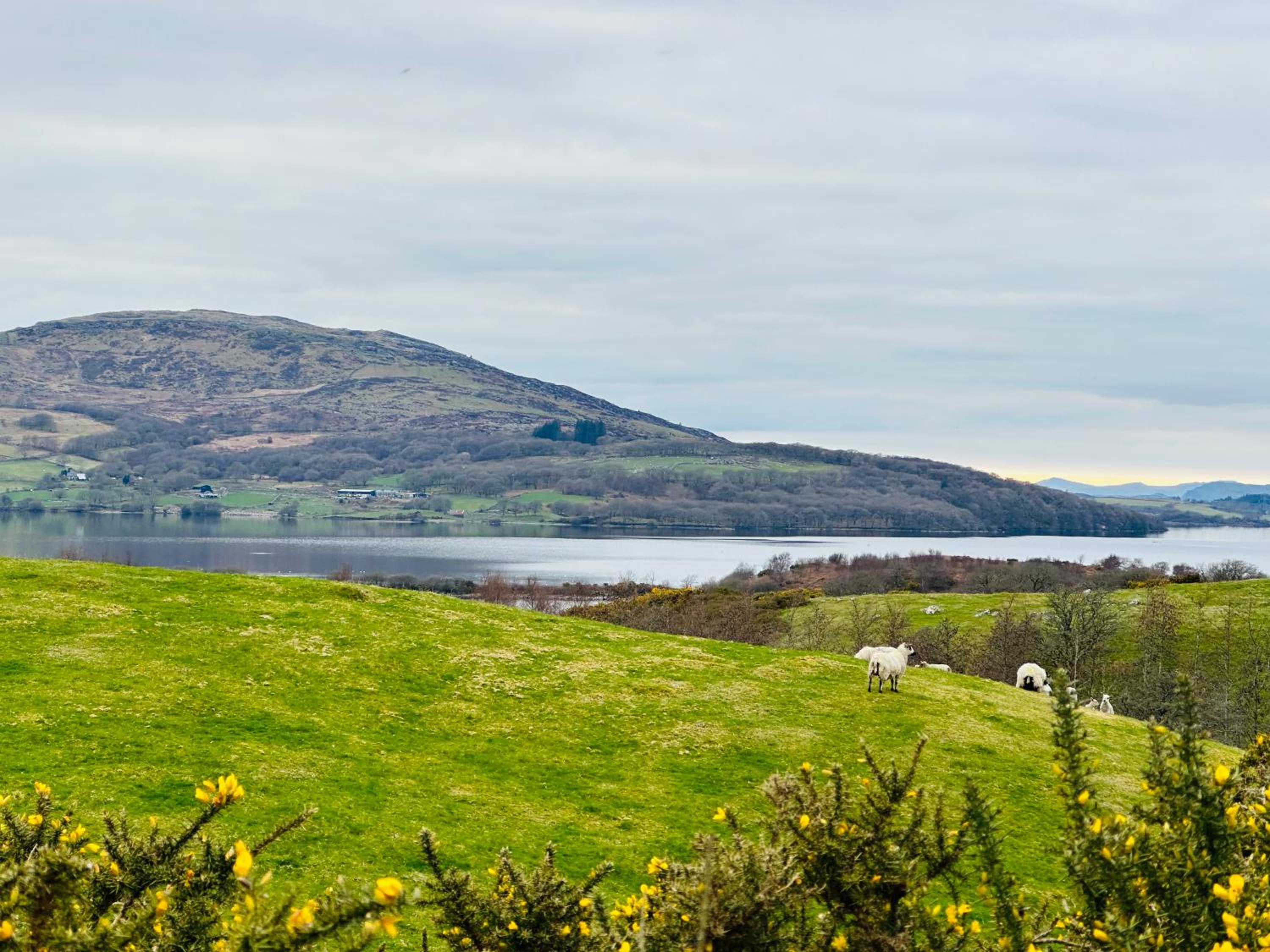 Trawsfynydd Stone Cottage