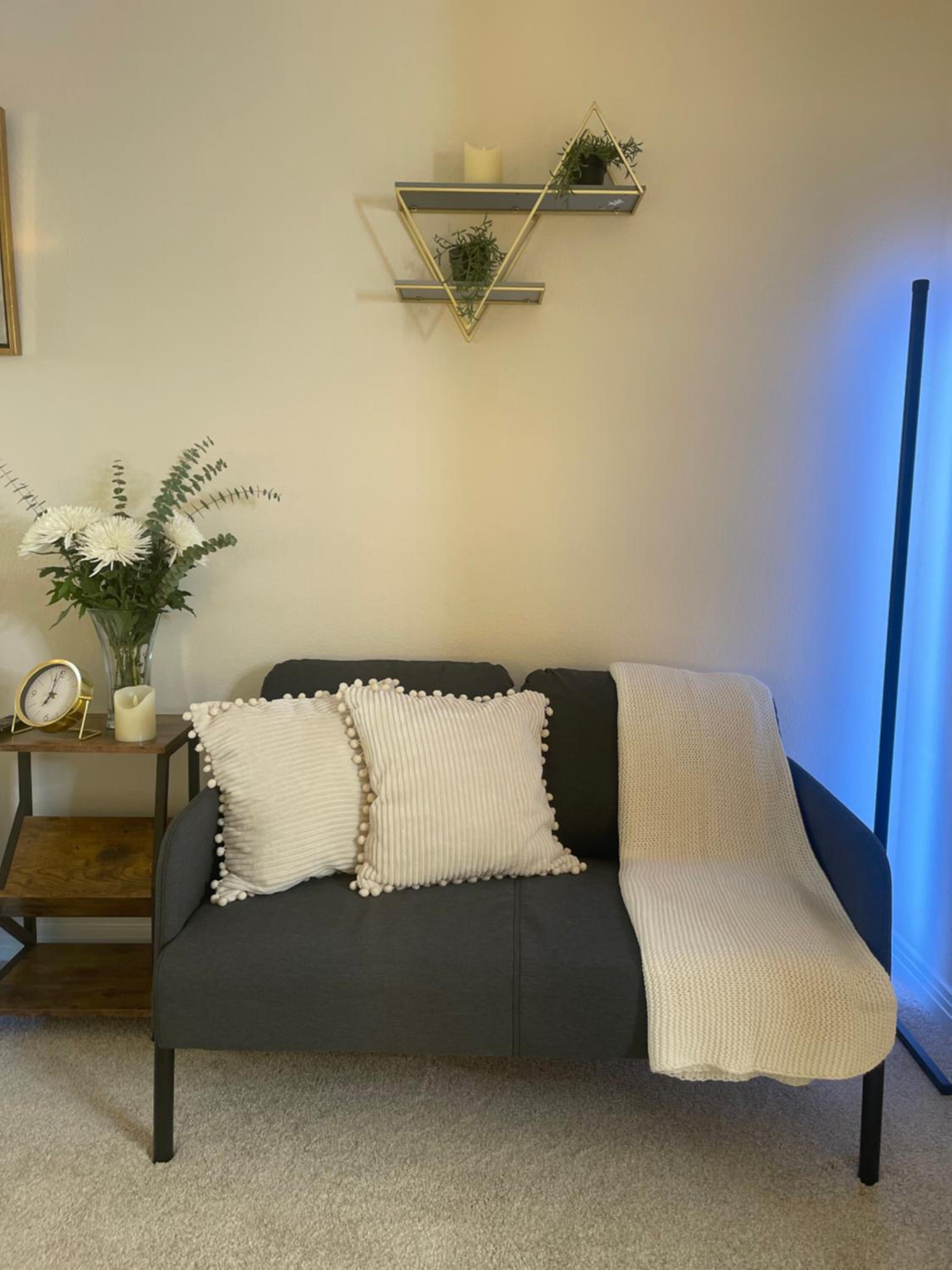 Private Room & Bathroom in Shared Oceanfront Home, Marina del Rey