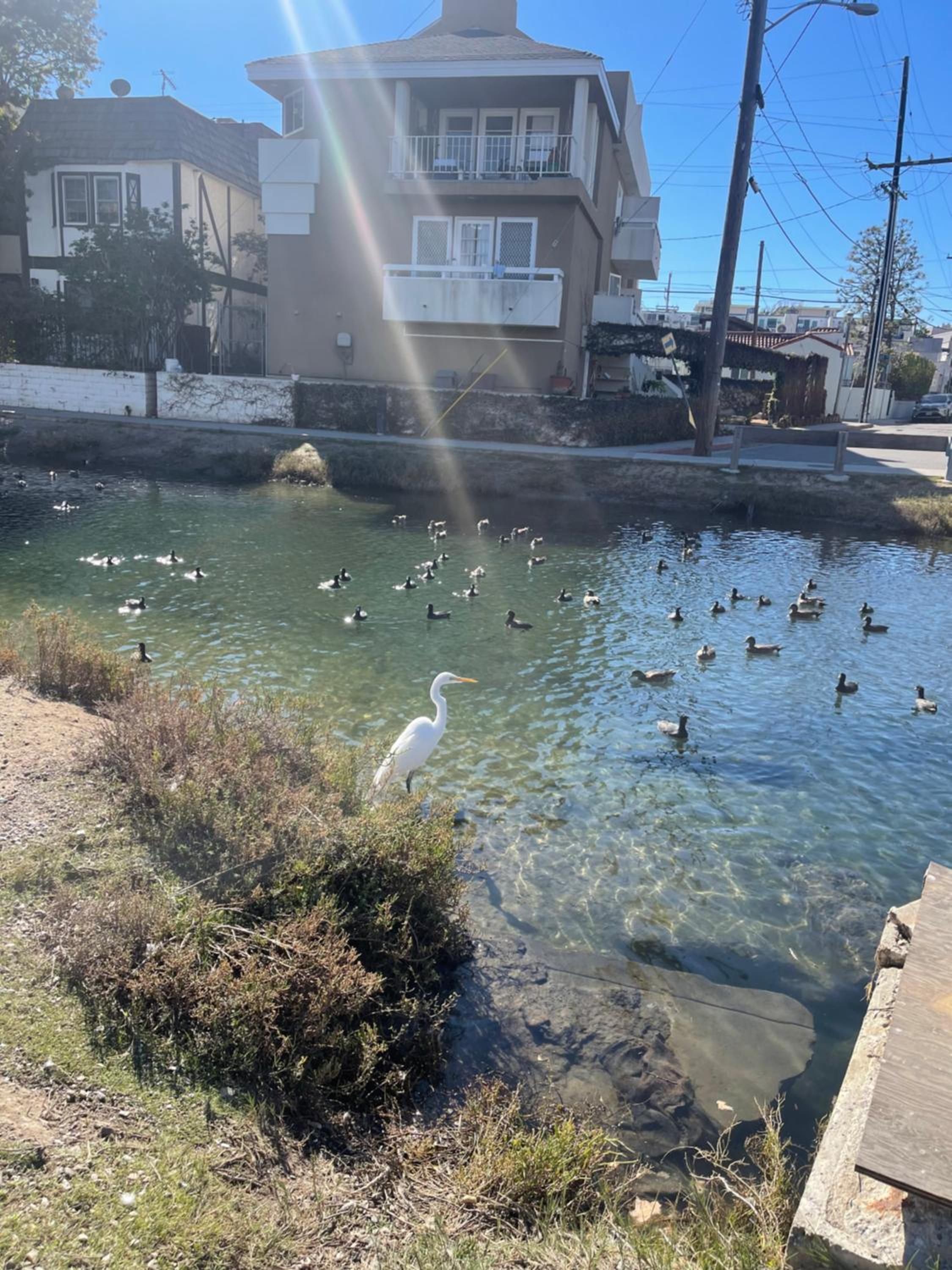 Private Room & Bathroom in Shared Oceanfront Home, Marina del Rey