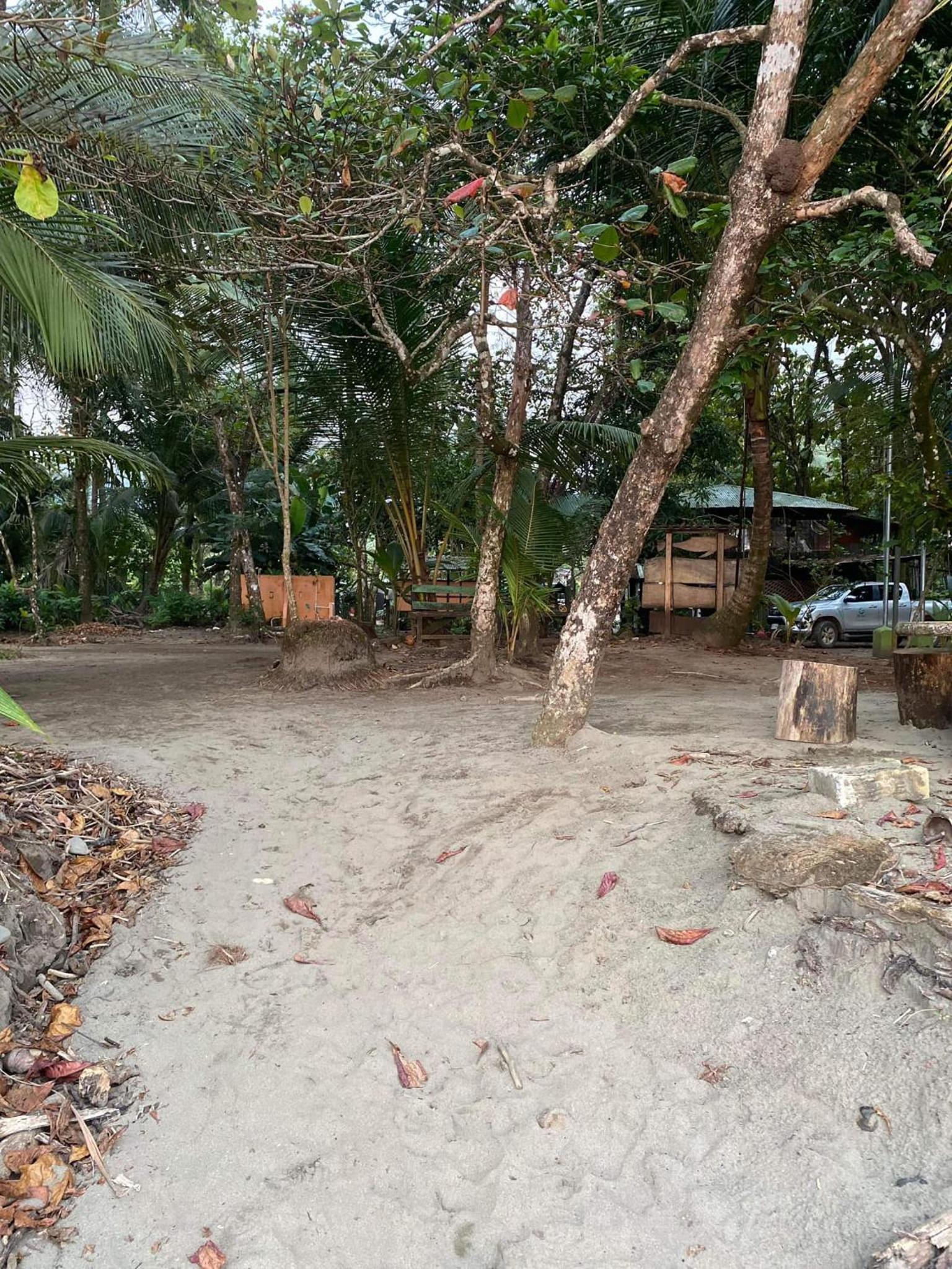 Al's Beach Casa