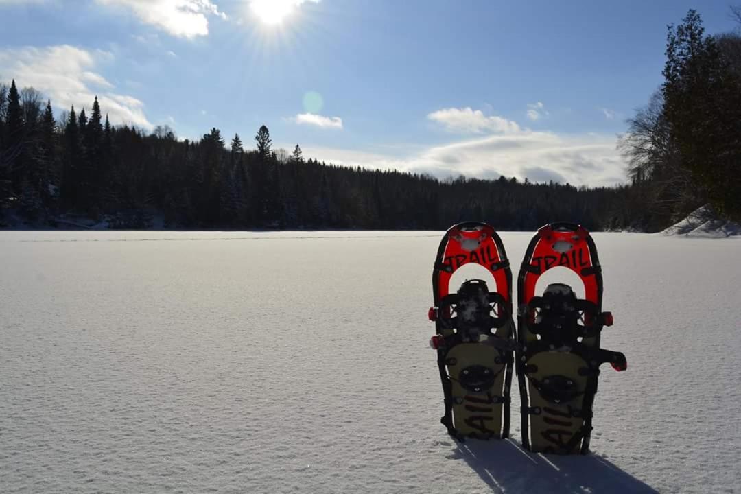 Chalet bois rond aux paysages uniques avec Spa !