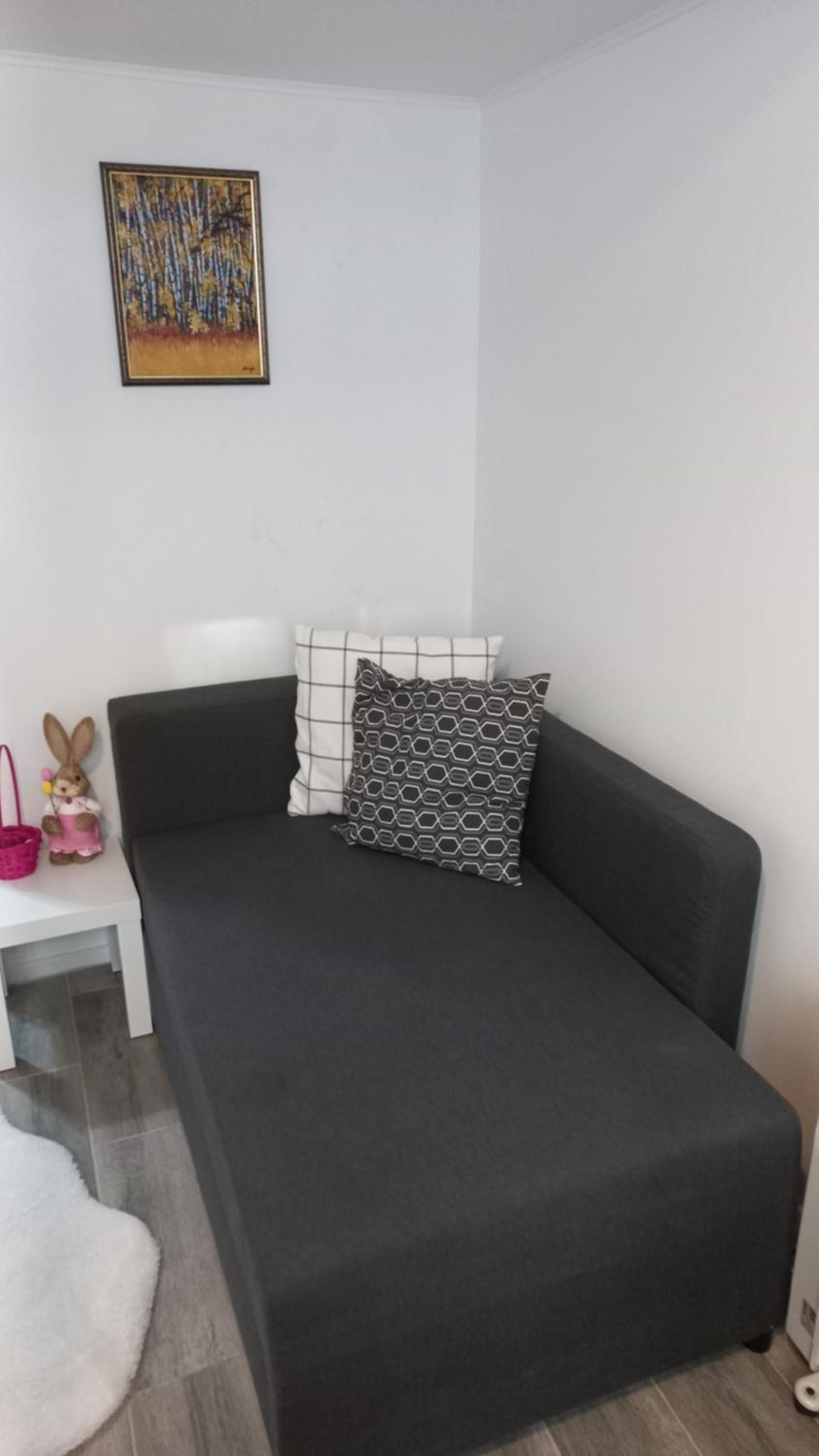 Apartments Balkanska City Center view 4