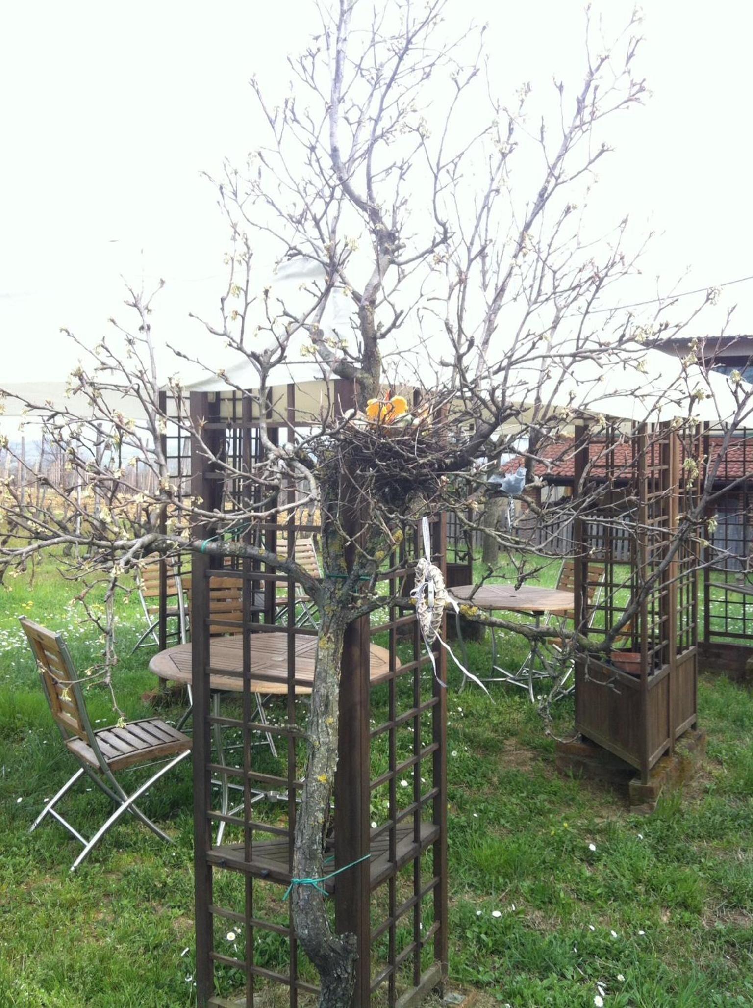 Photo 44