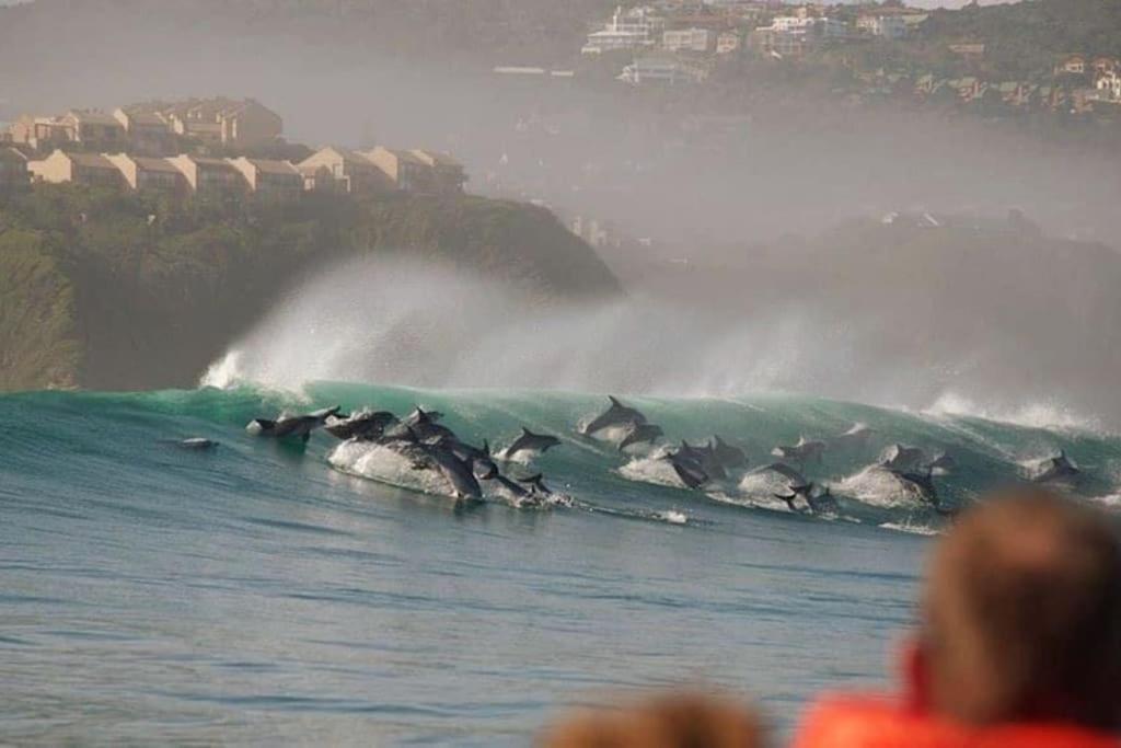 Garden Route spectacular view over Indian Ocean