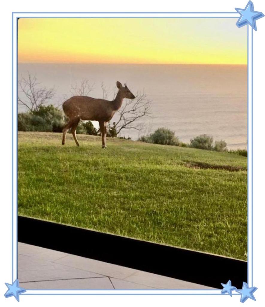 Garden Route spectacular view over Indian Ocean