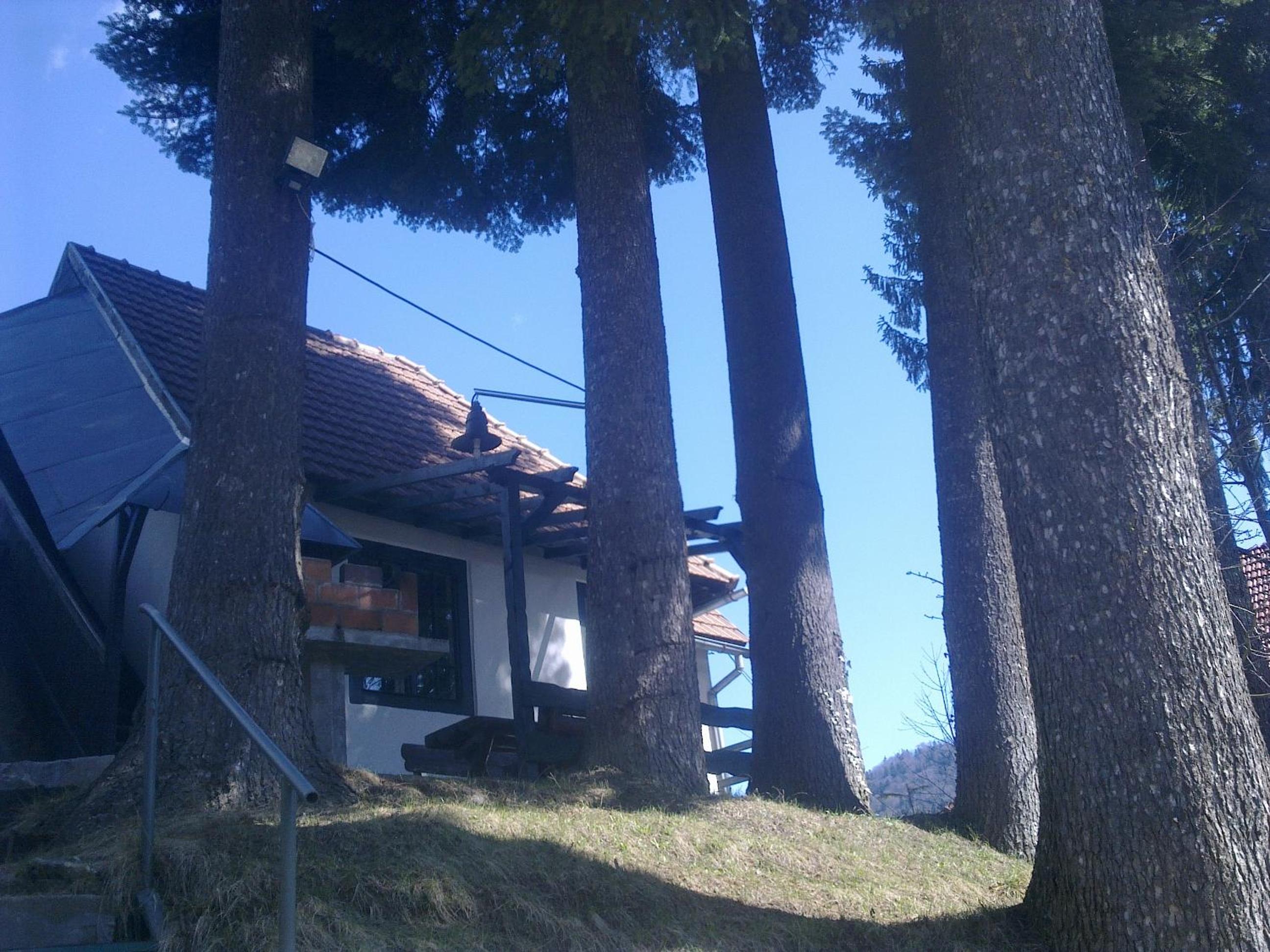 Photo 21