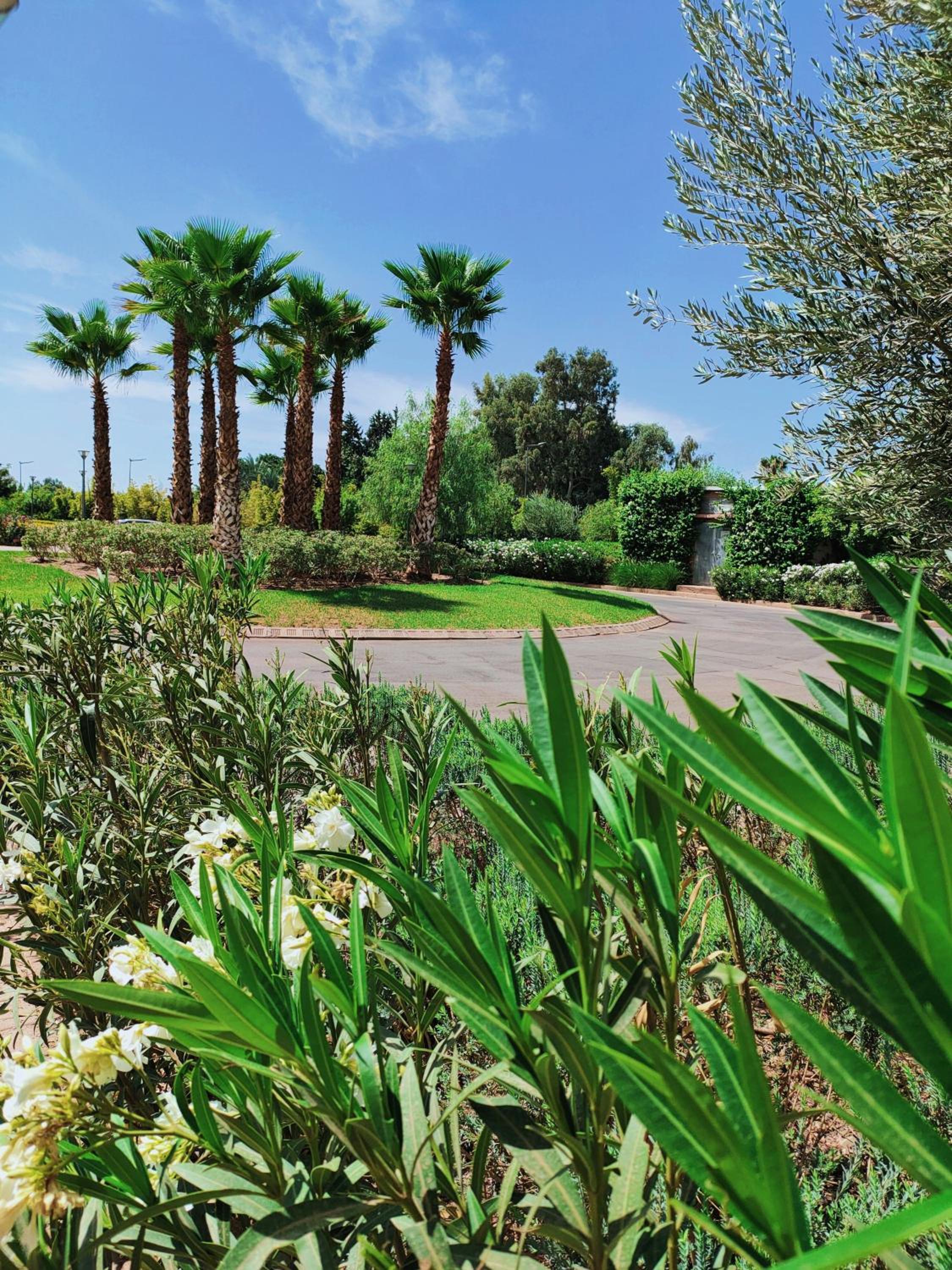 Prestigia Marrakech Dar Cheryana view 3
