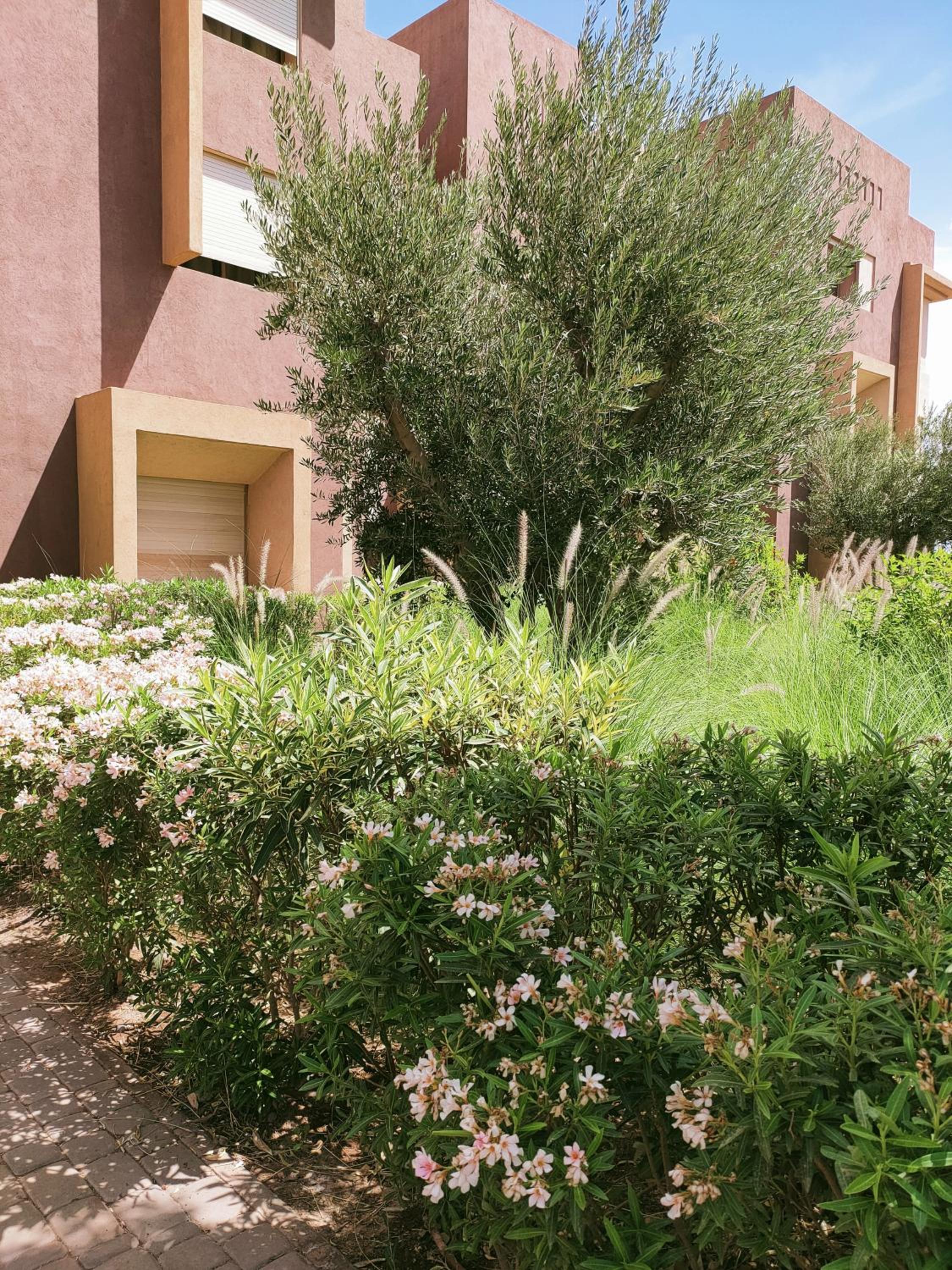 Prestigia Marrakech Dar Cheryana view 4
