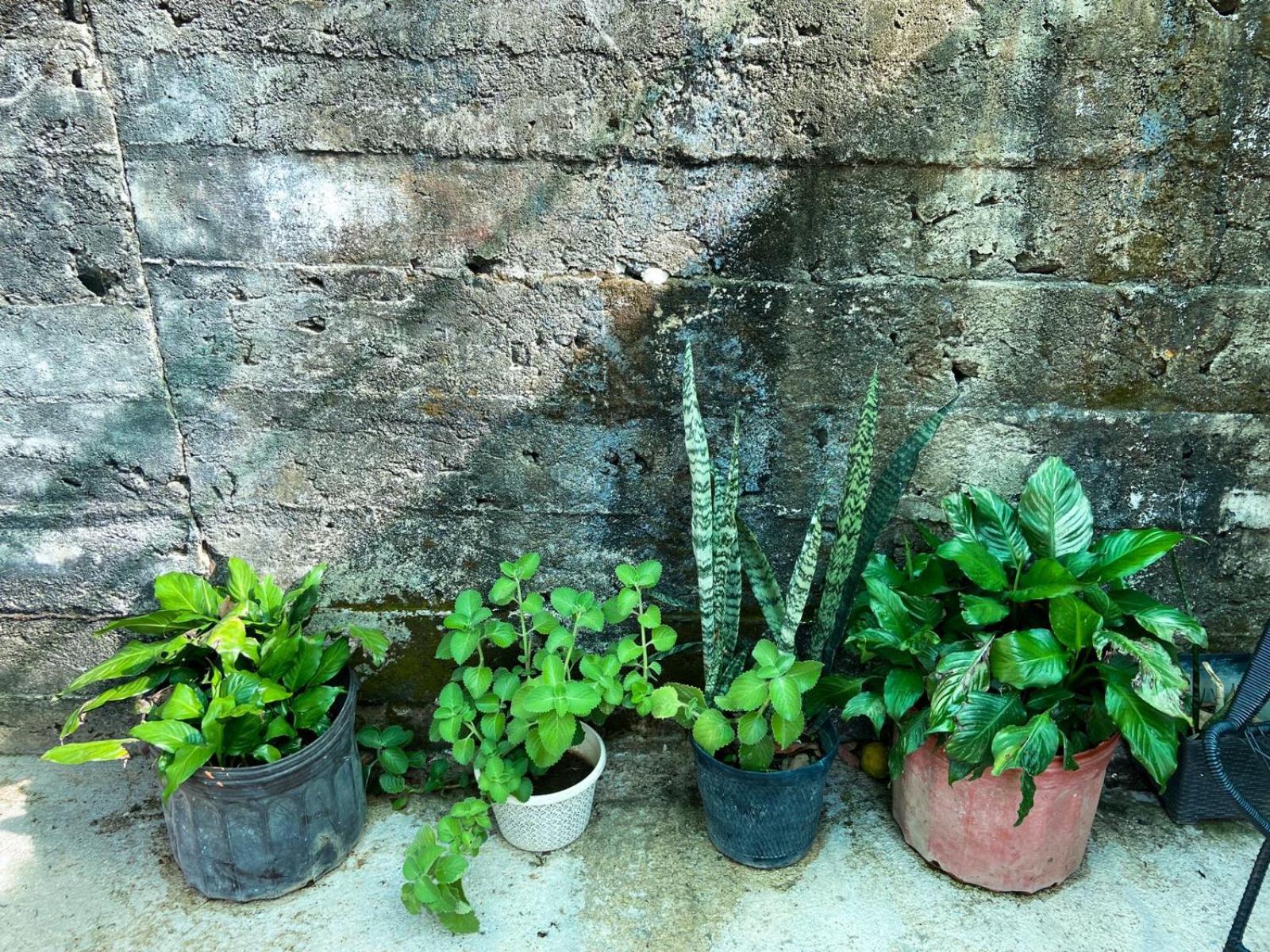 Photo 23