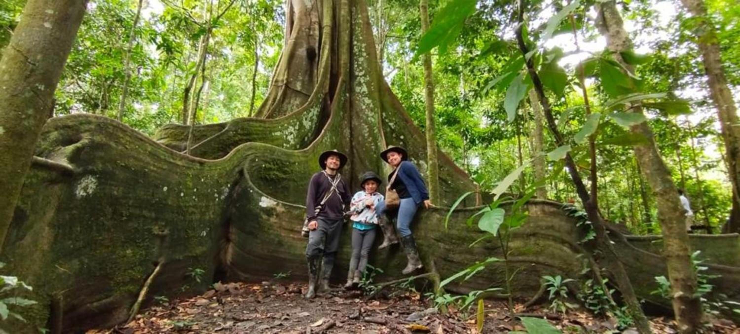 Eco Hotel Aldea -AMAZONAS