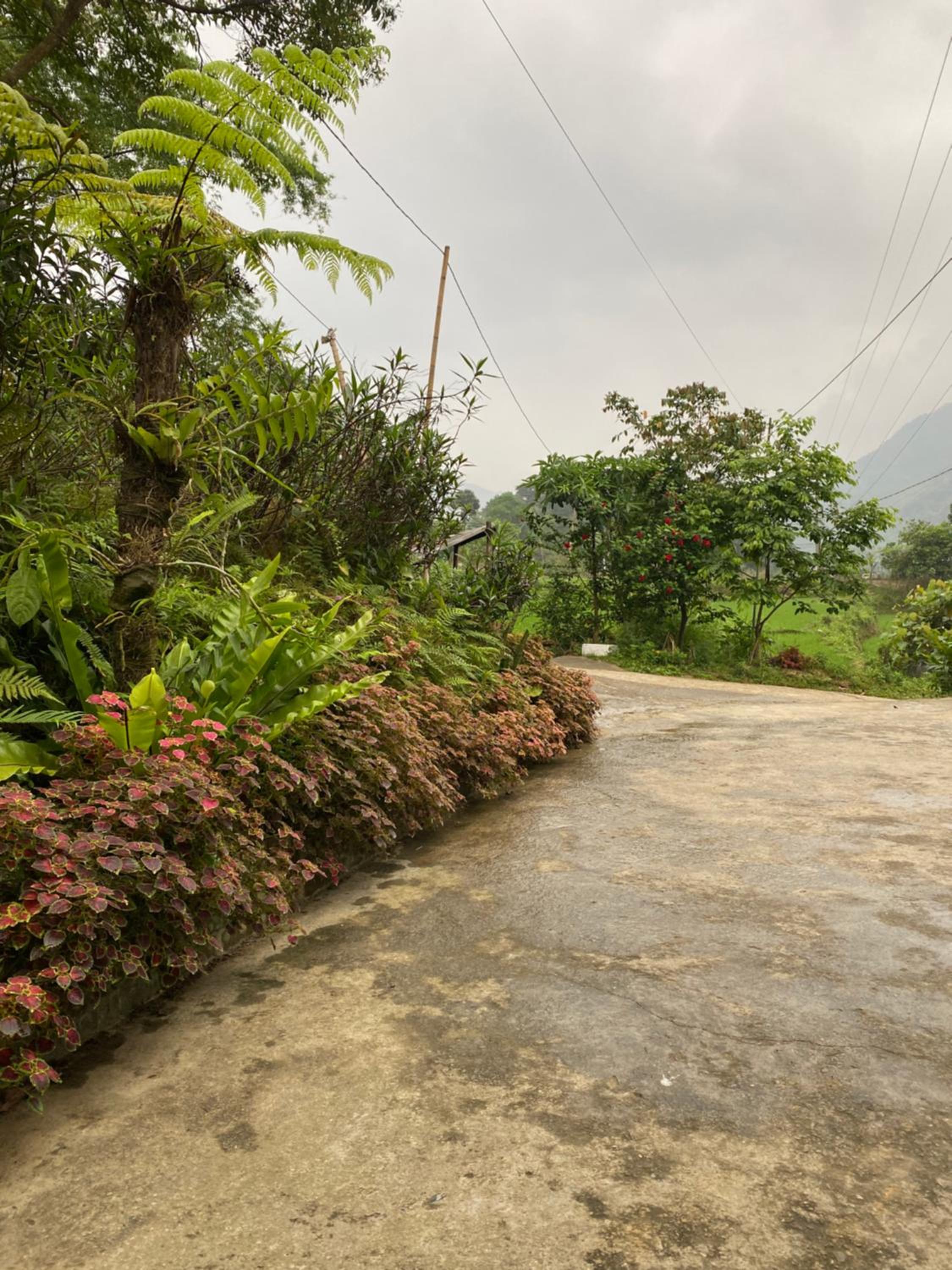 Du Gia Field View Homestay