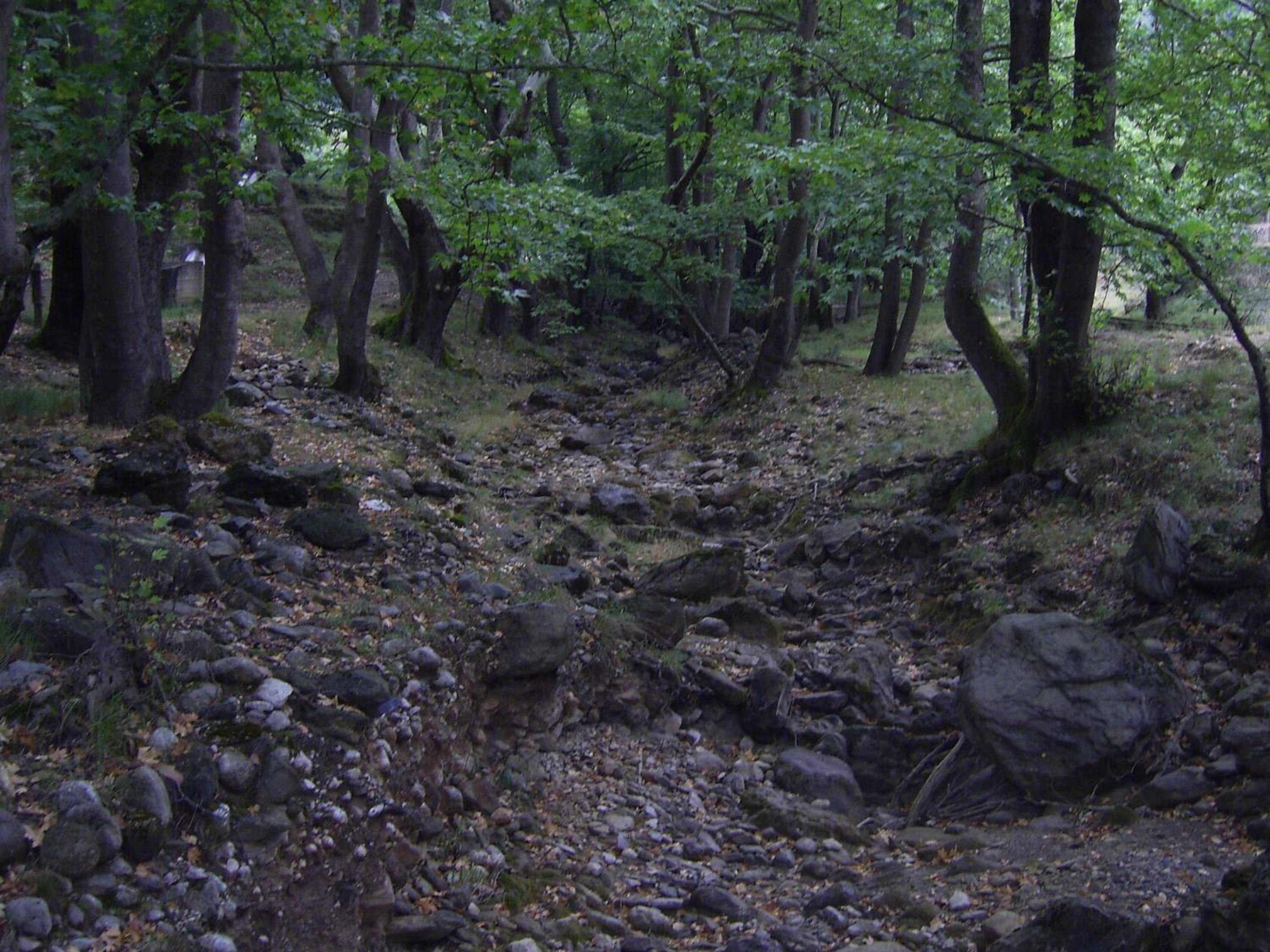 Guesthouse Kastania Korakis
