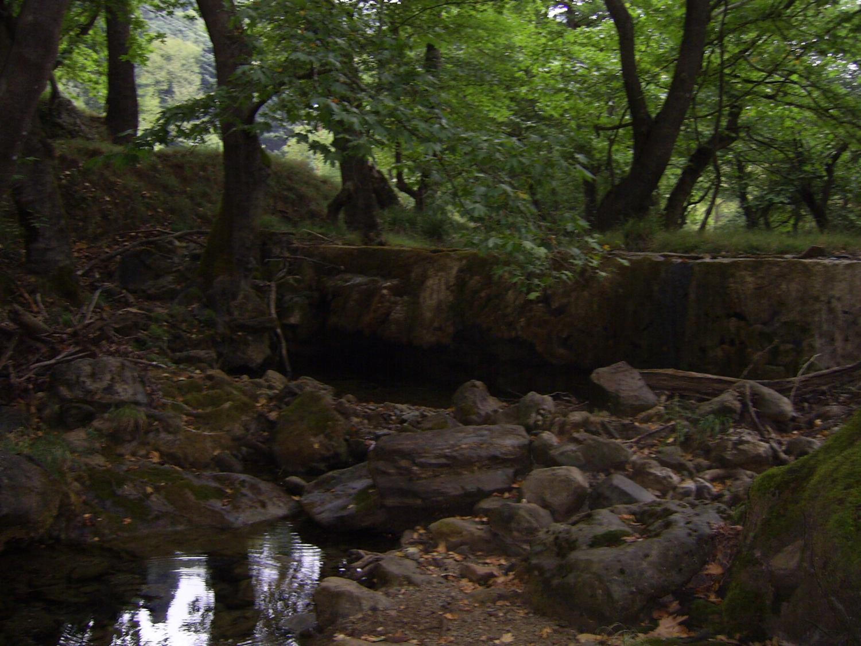 Guesthouse Kastania Korakis