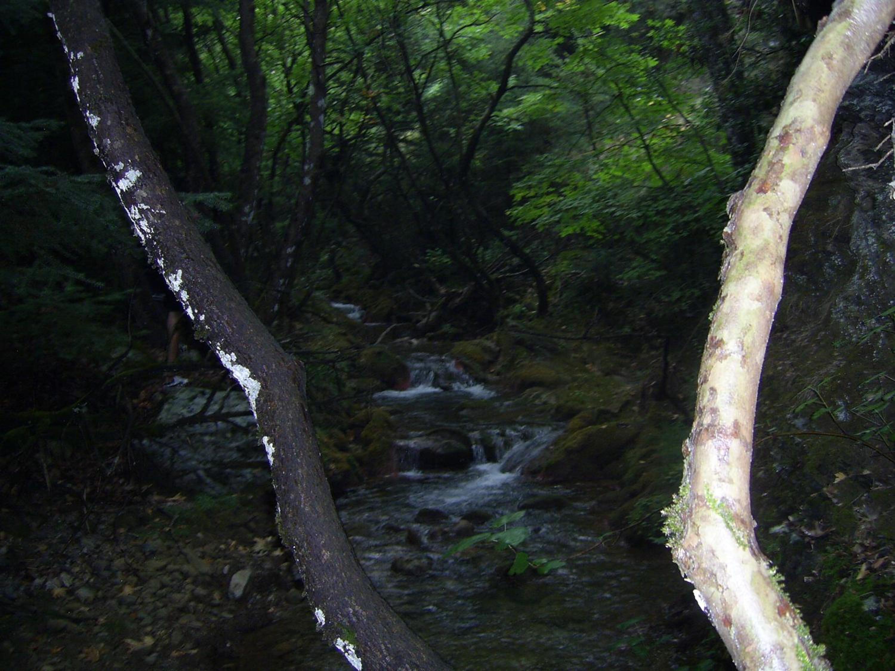 Guesthouse Kastania Korakis