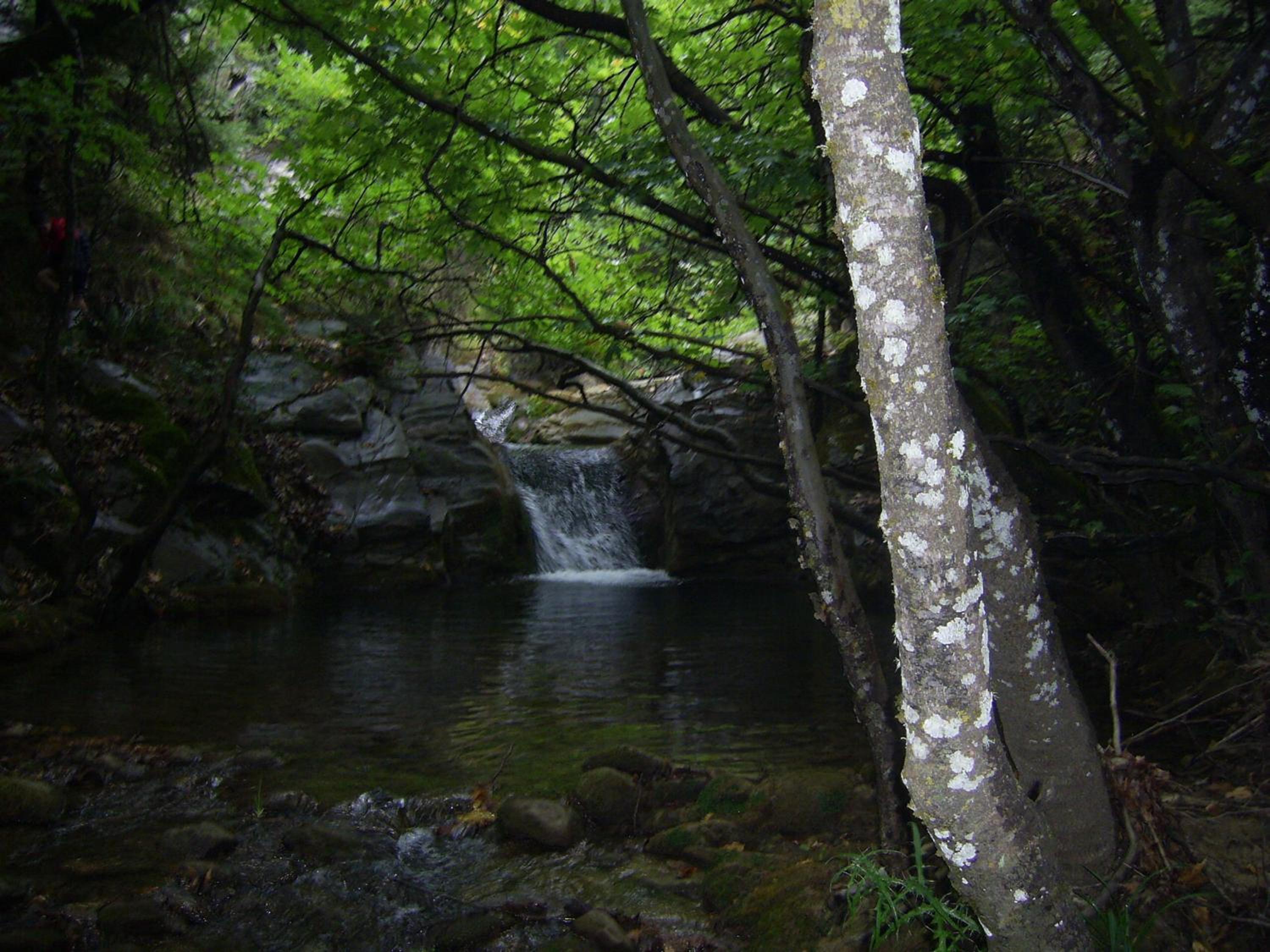 Guesthouse Kastania Korakis