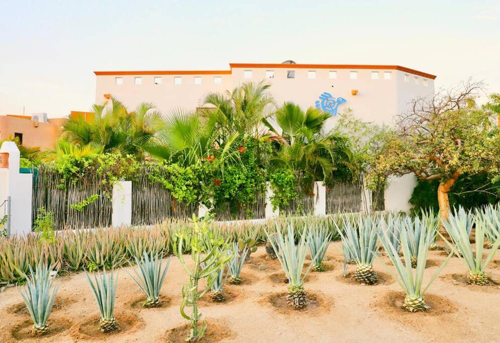 3 Bed 4 bath Ocean View with Heated Pool. view 2