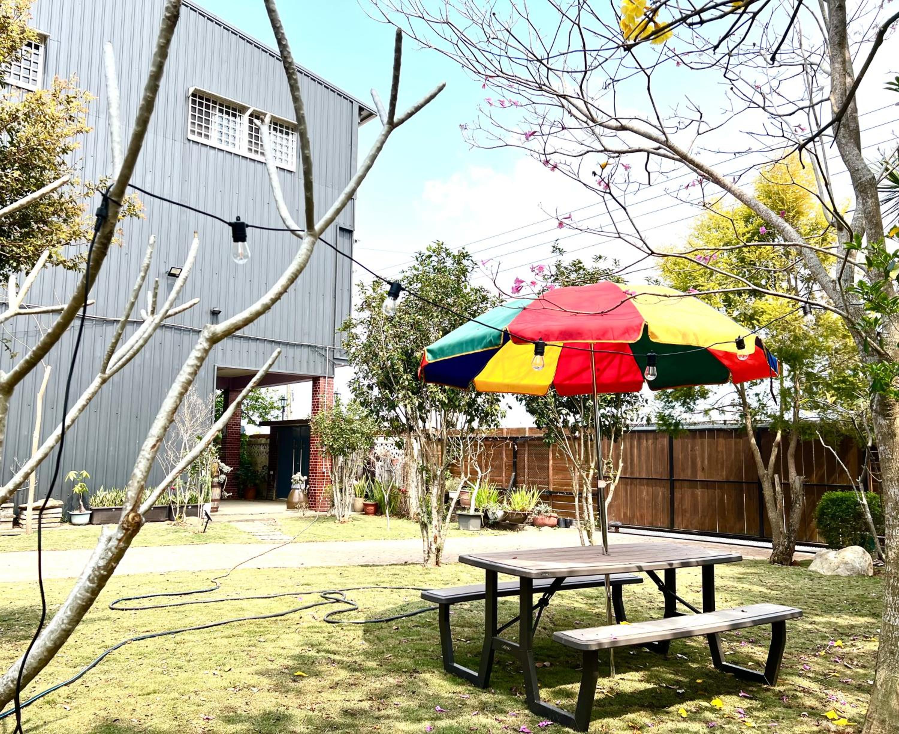 Photo 11