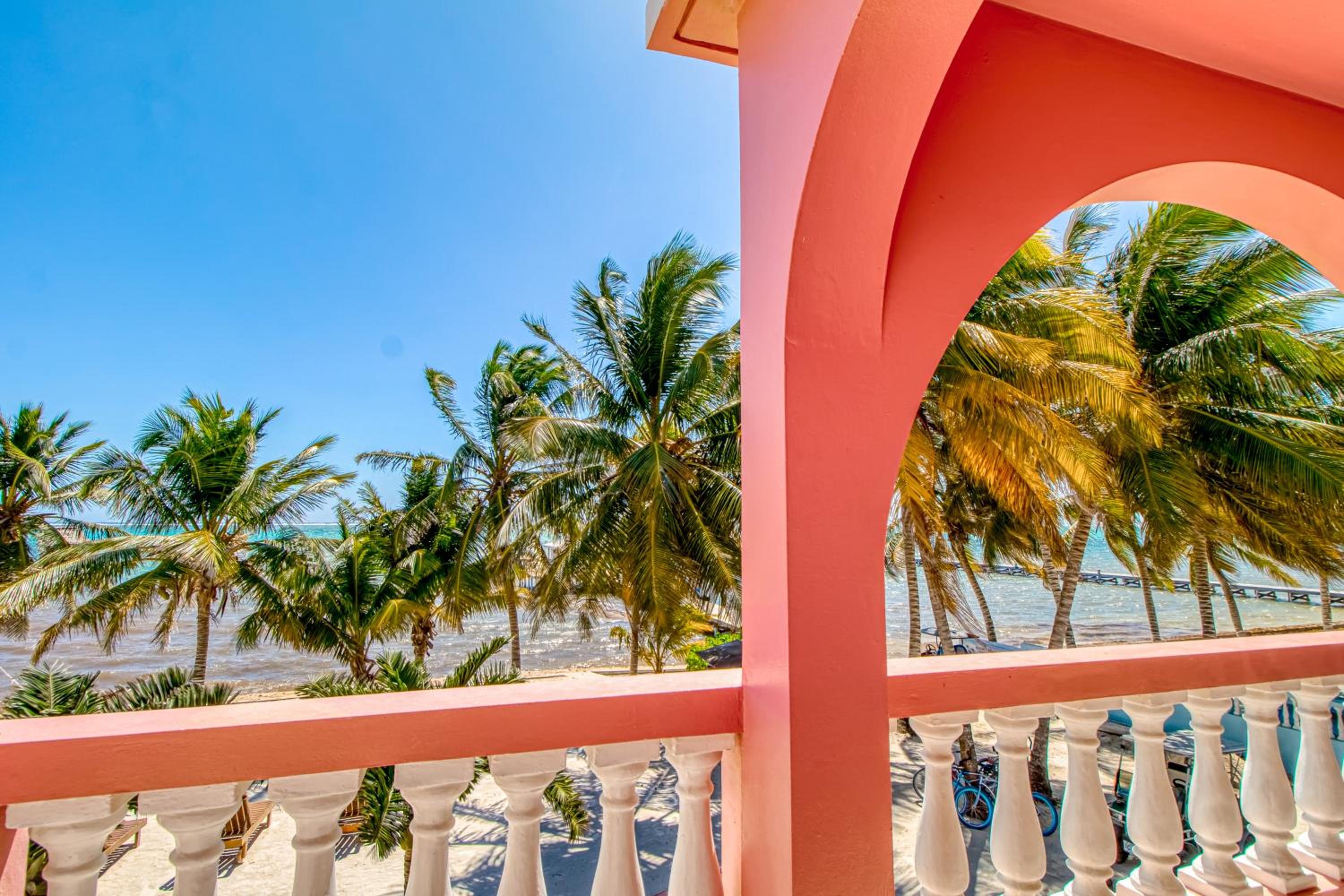 Mango 10 at Caribe Island Gold Standard Certified