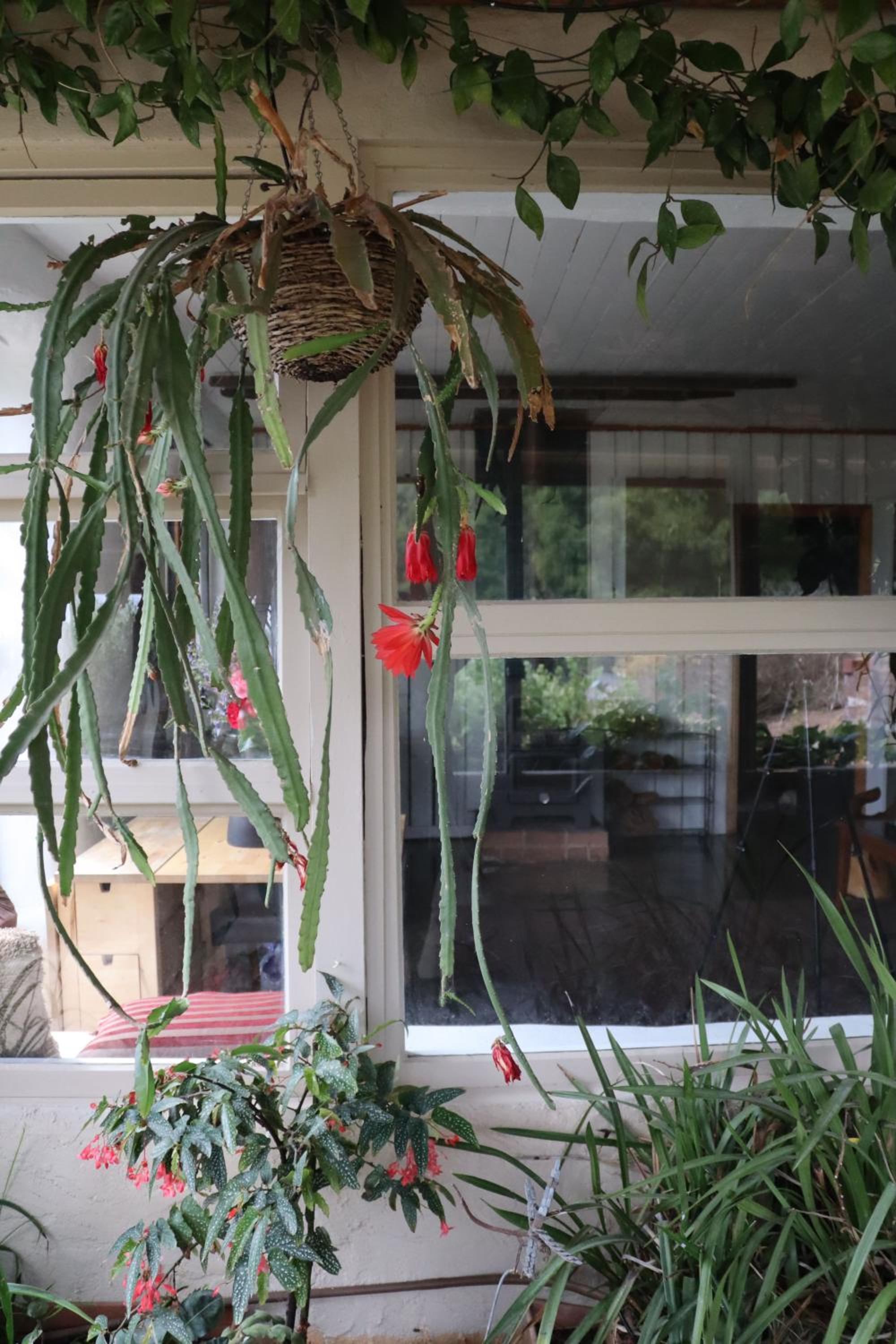 Strawbale Cottage - Wingspread Garden
