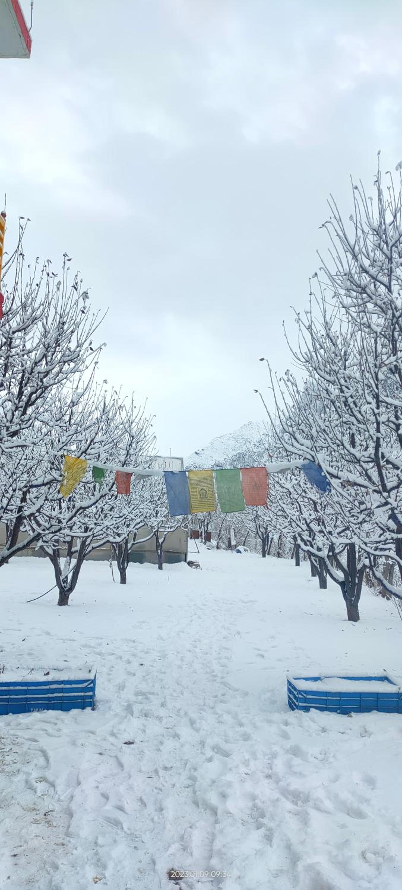 Valley View Homestay Lahaul