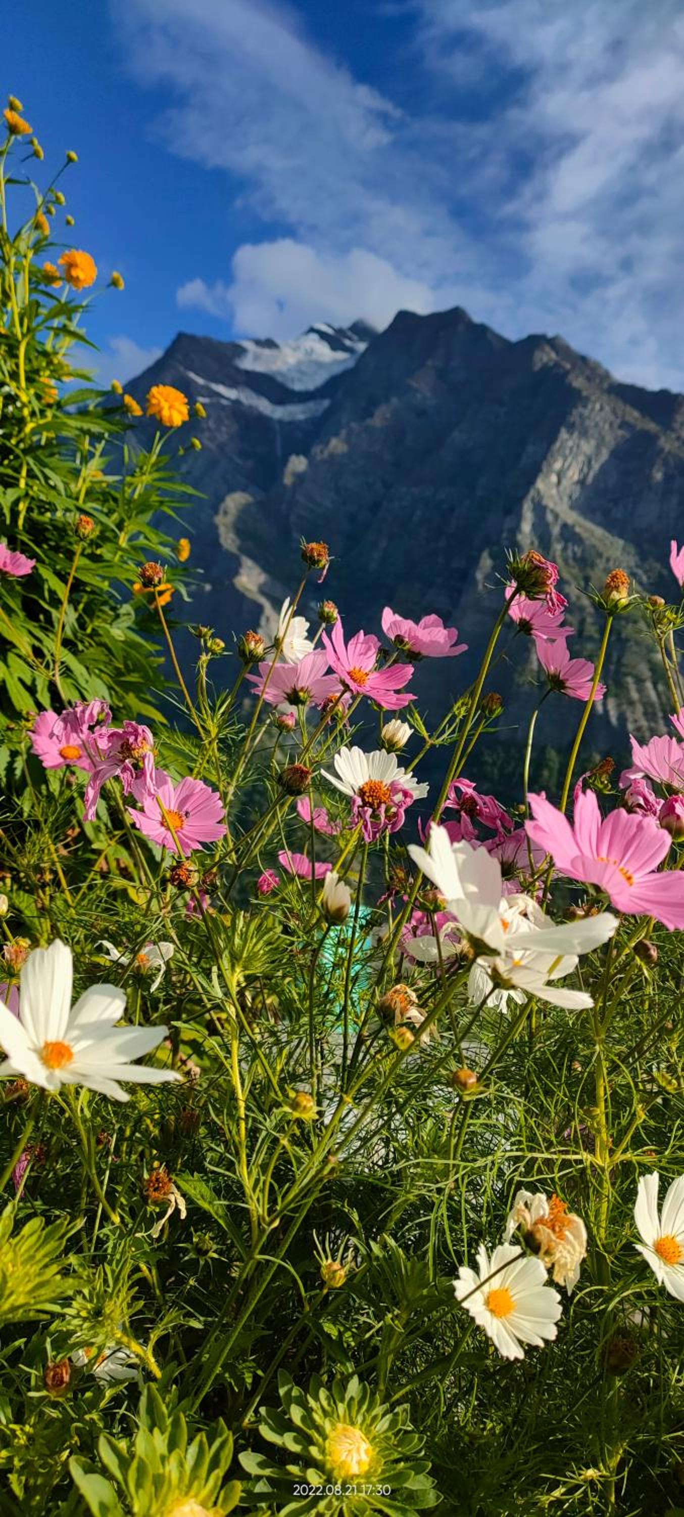 Valley View Homestay Lahaul