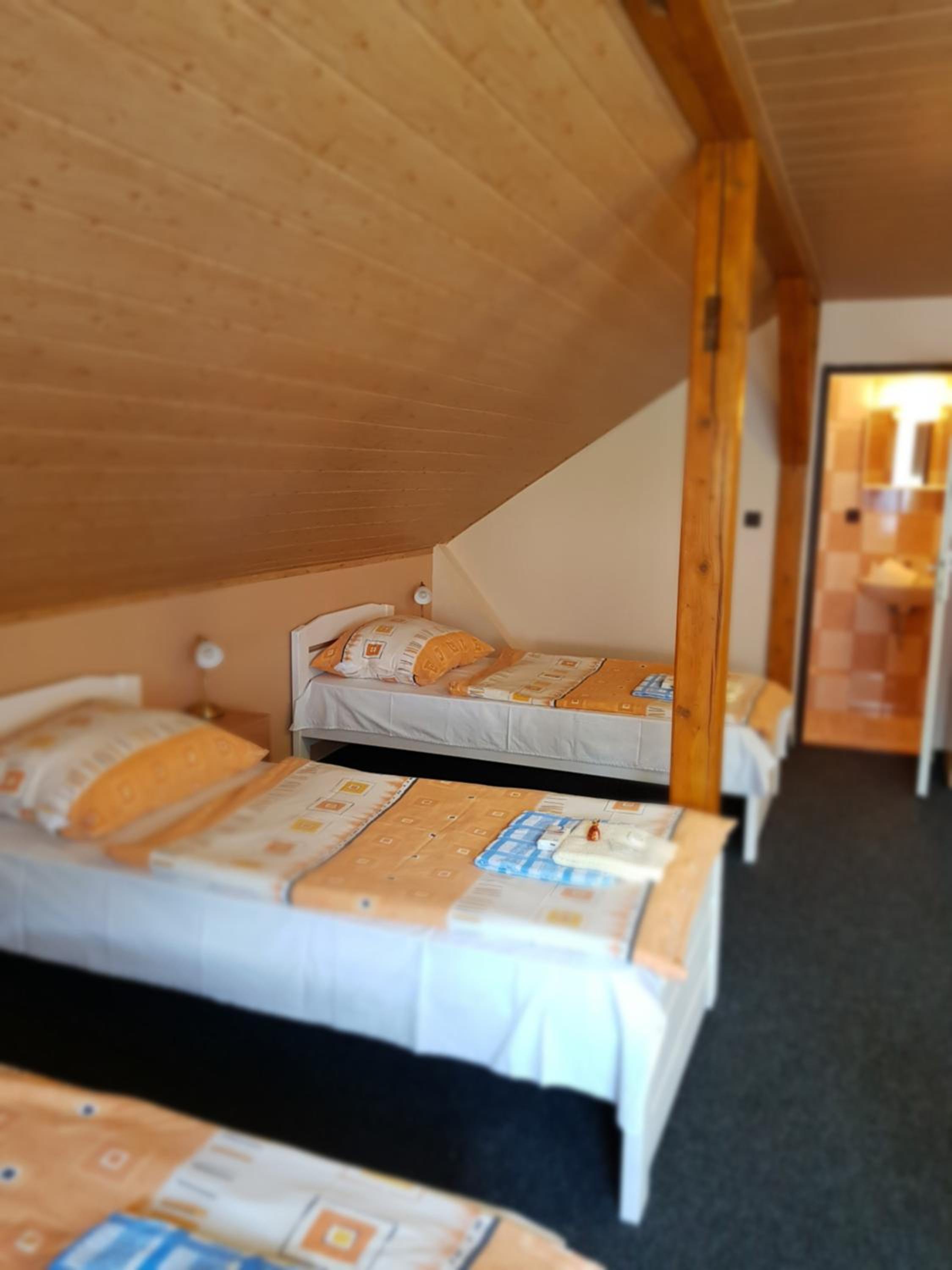 Guest House Pod Lesem Merklín