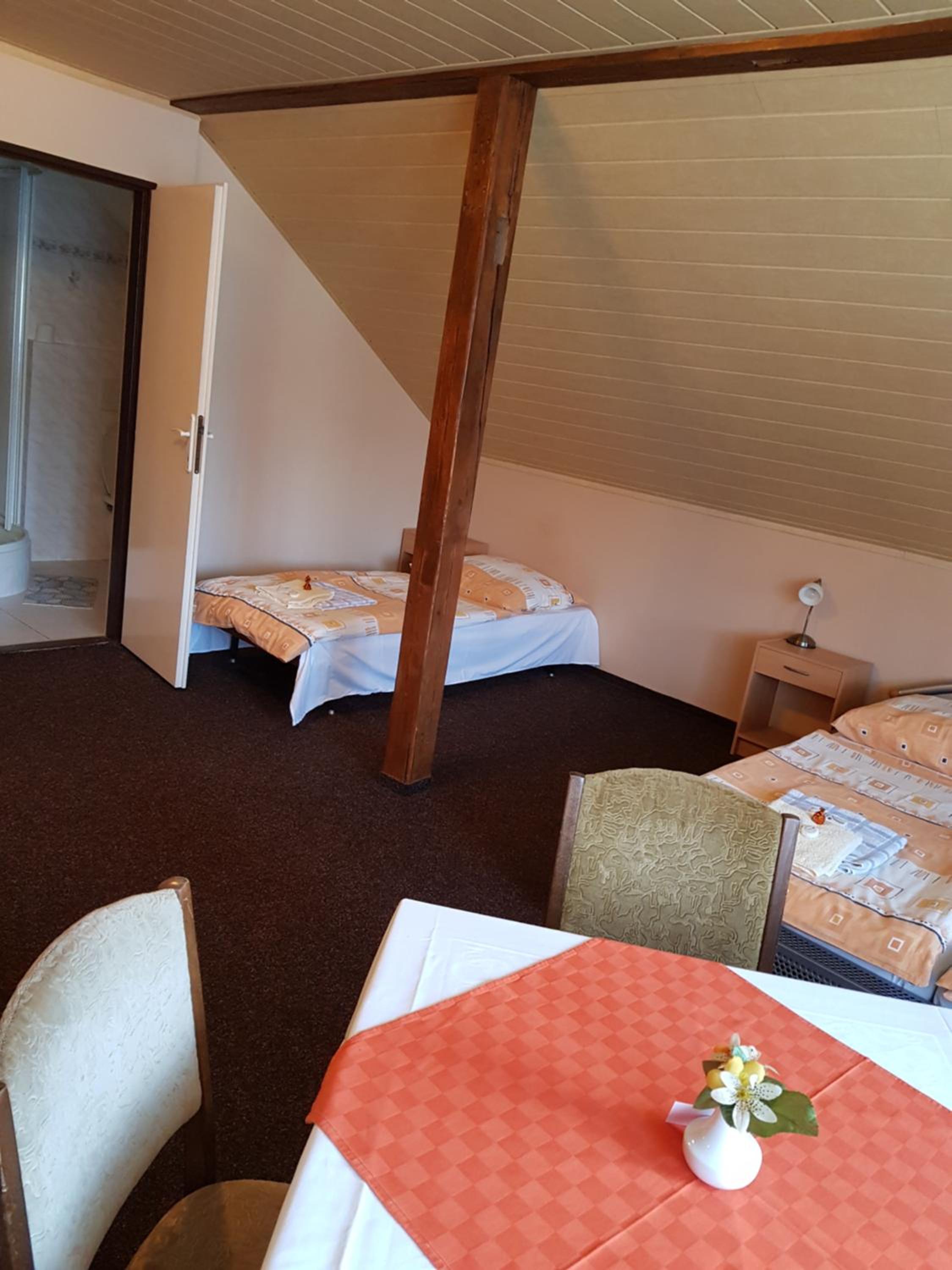 Guest House Pod Lesem Merklín
