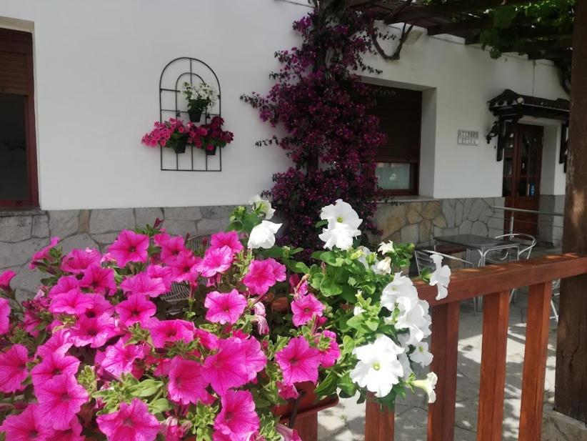 Atxispe Etxea Casa Rural