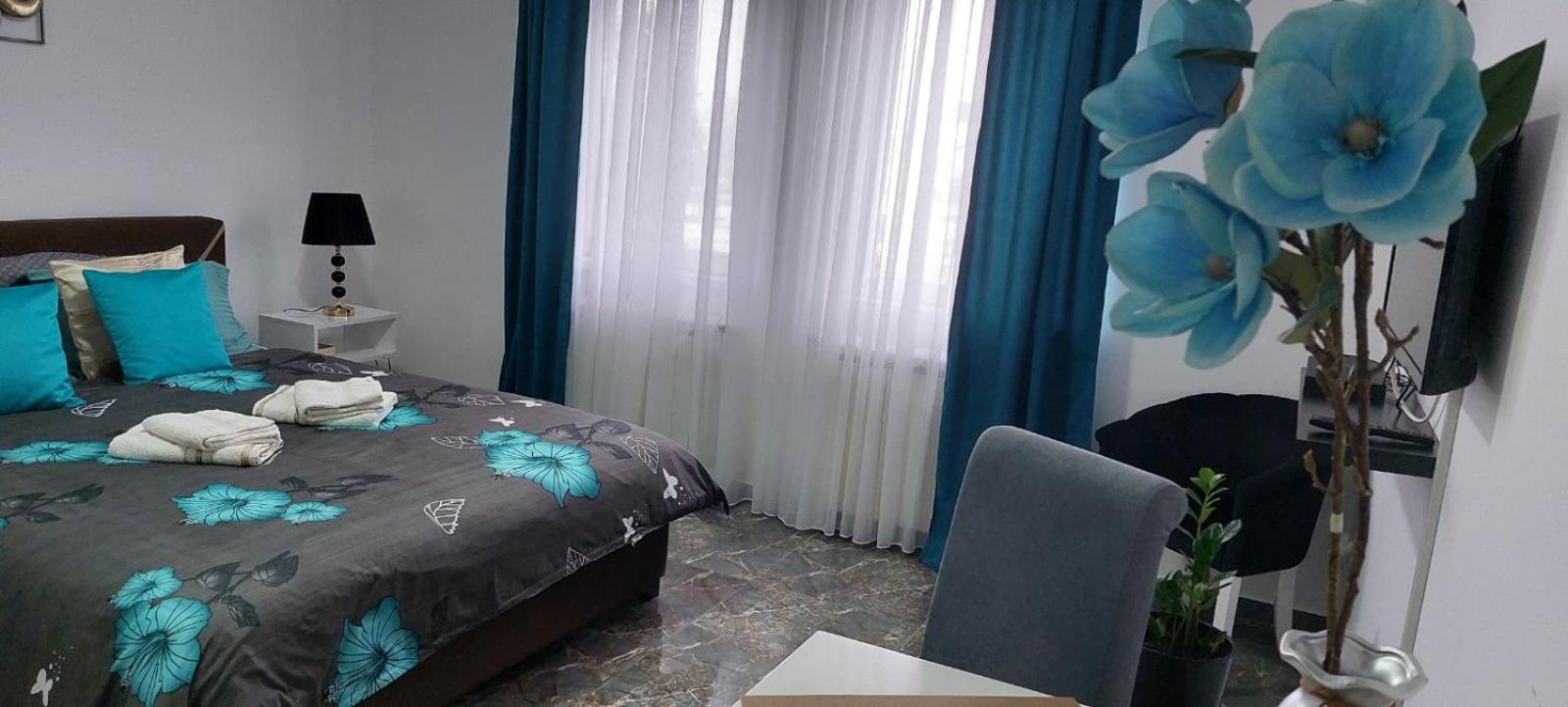 Apartman Milion Banja Koviljača view 3