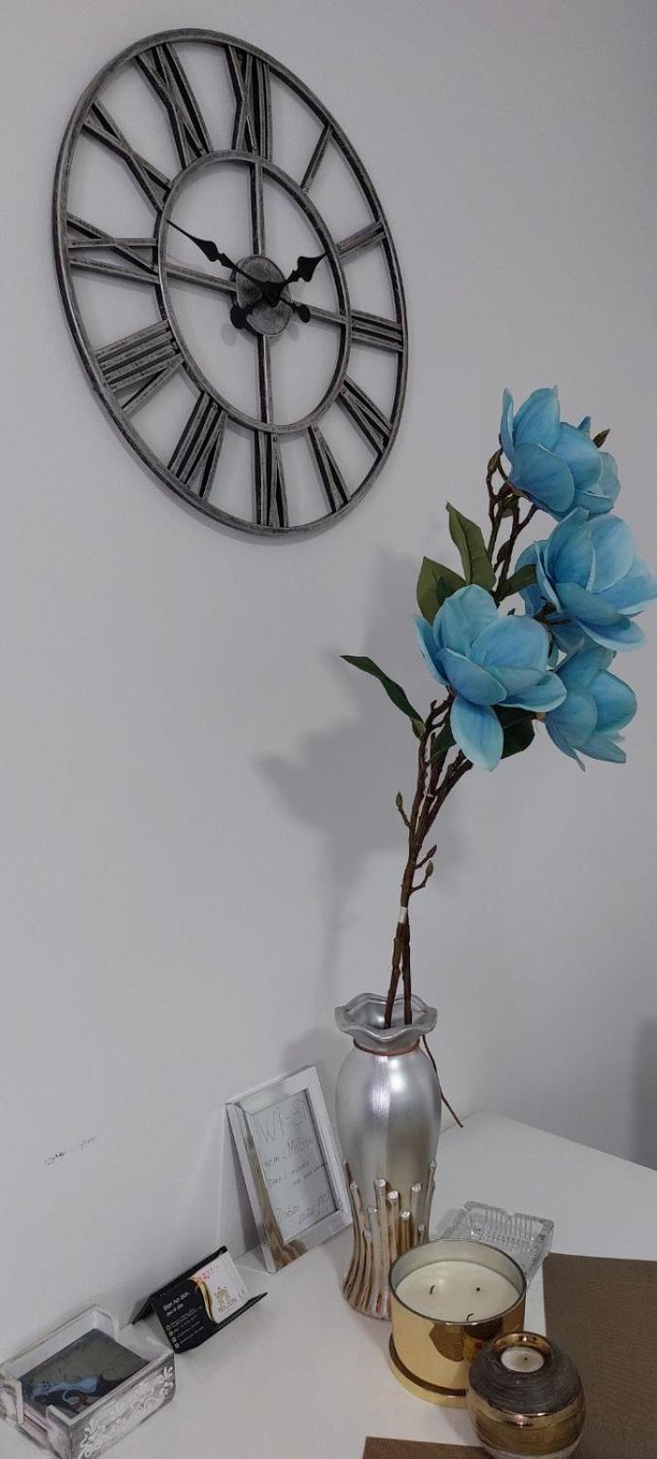 Apartman Milion Banja Koviljača view 2