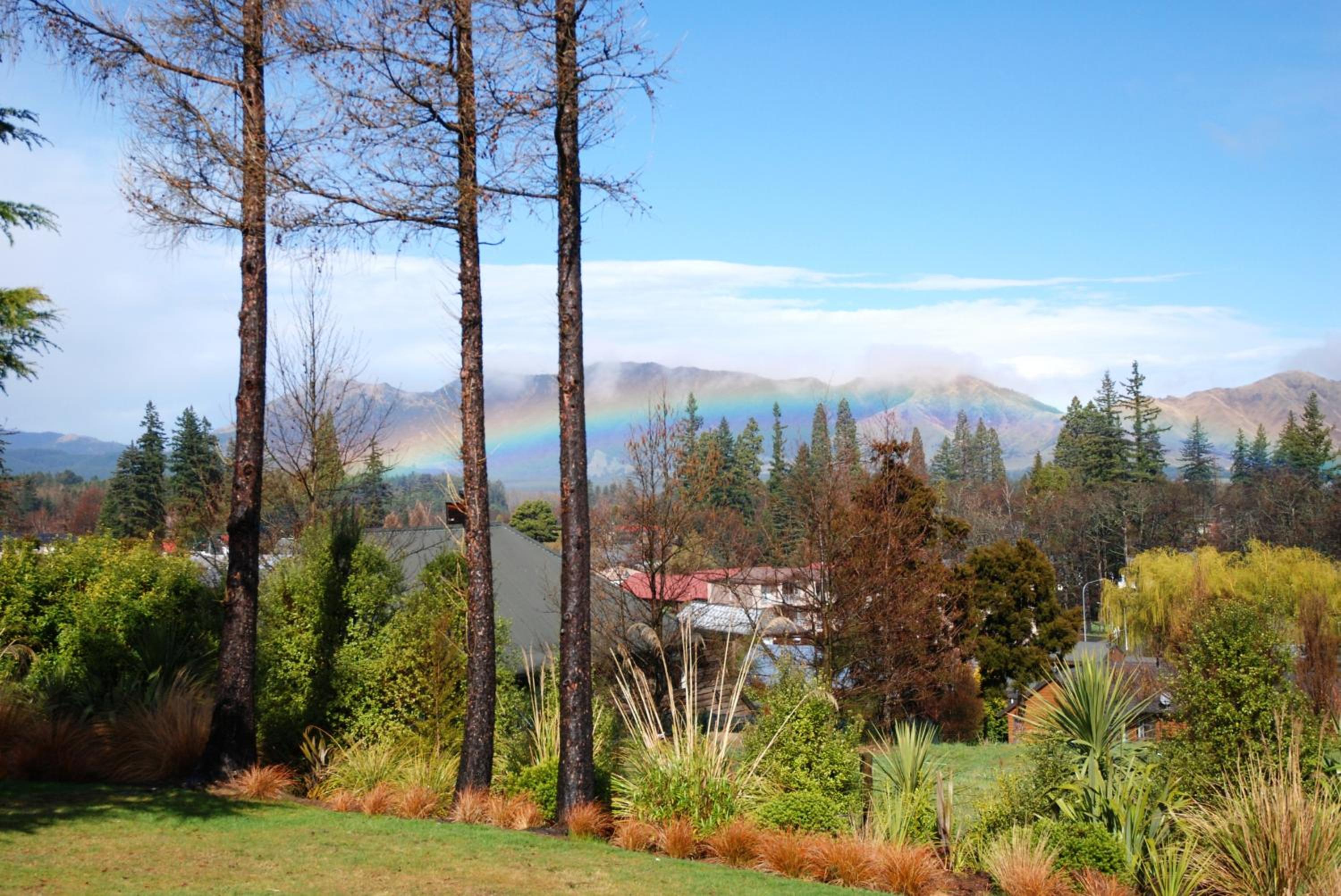 The Chalets Motel view 3
