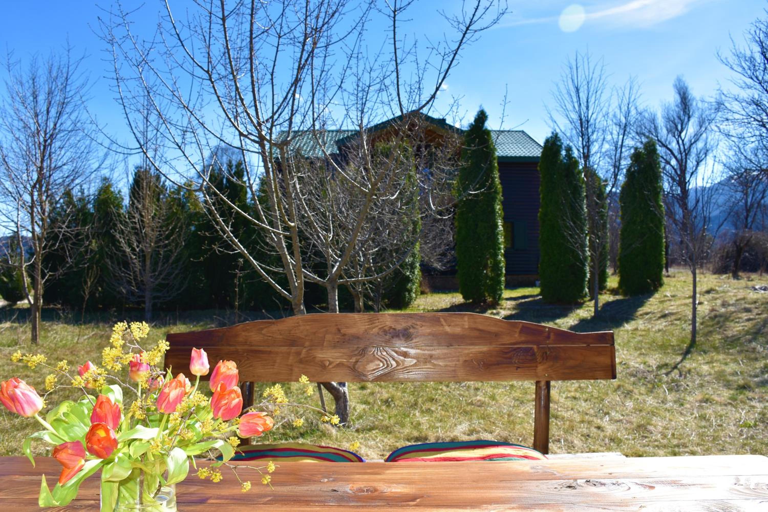 Photo 15