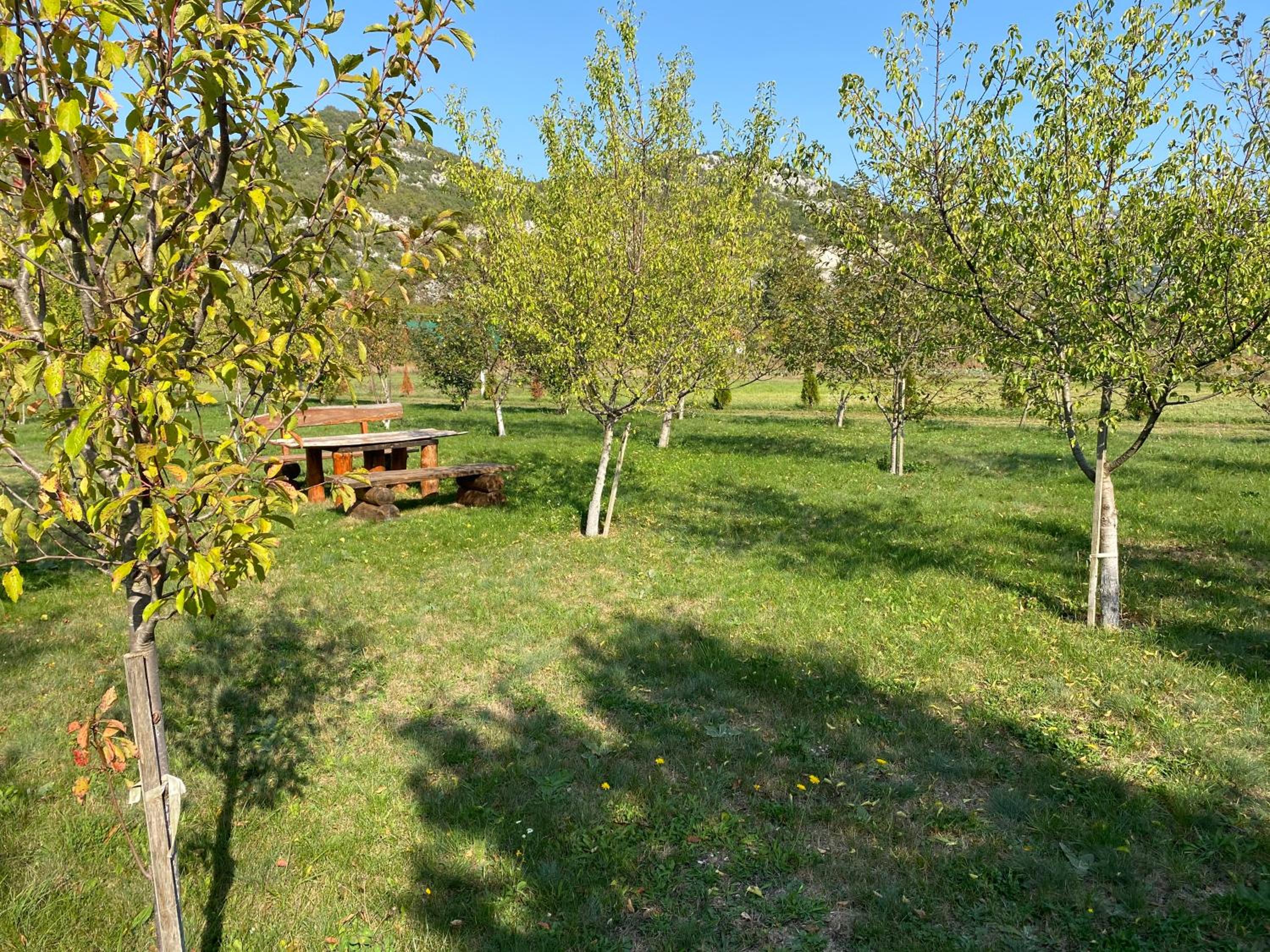 Photo 10