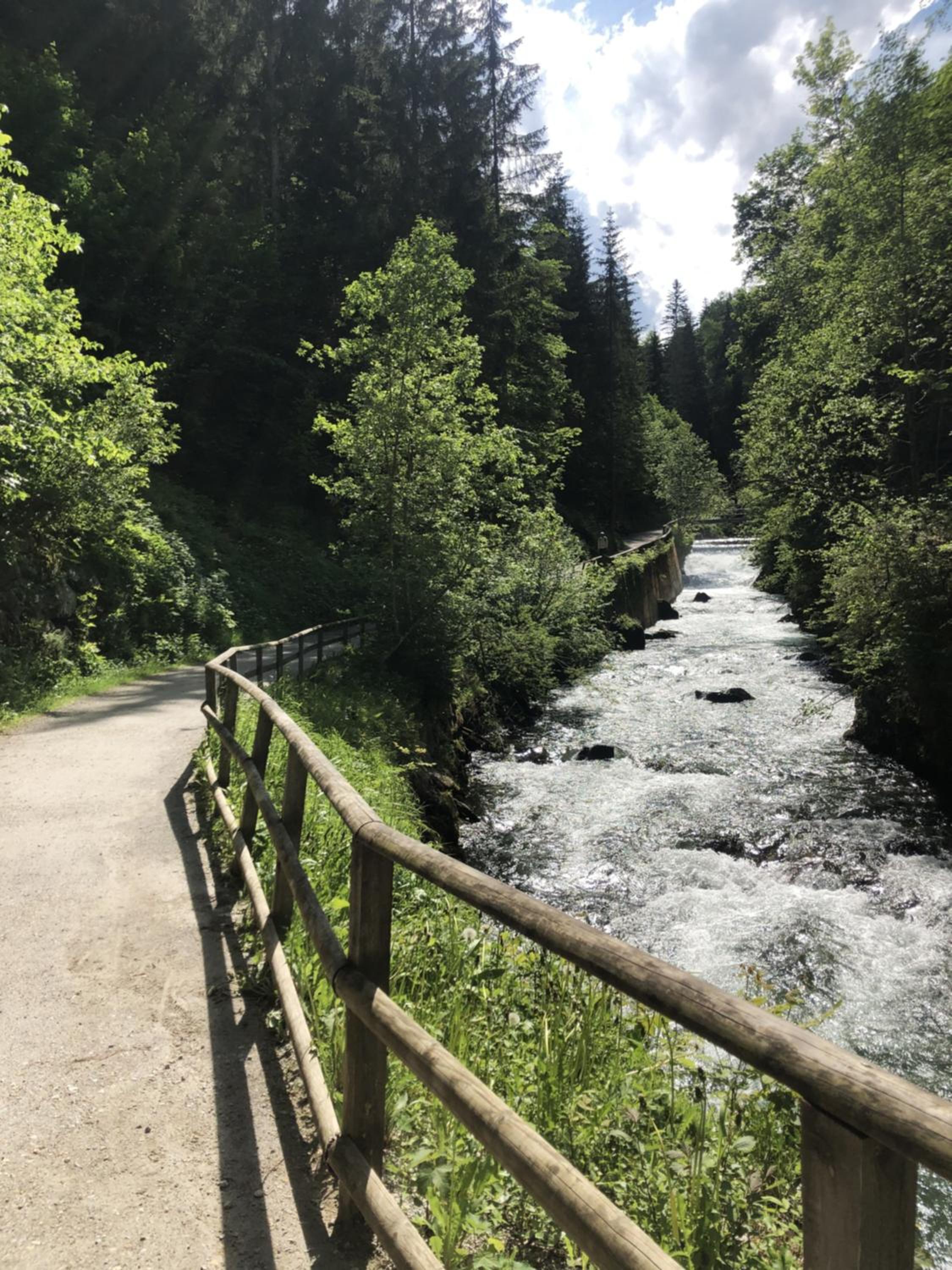 Photo 28