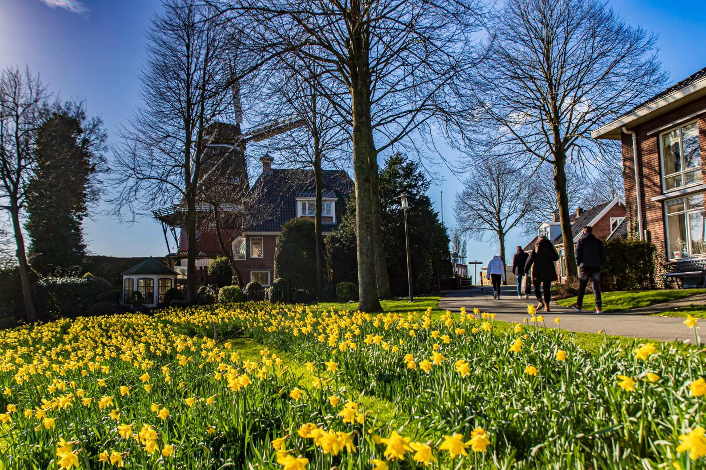 Logementen Dokkum