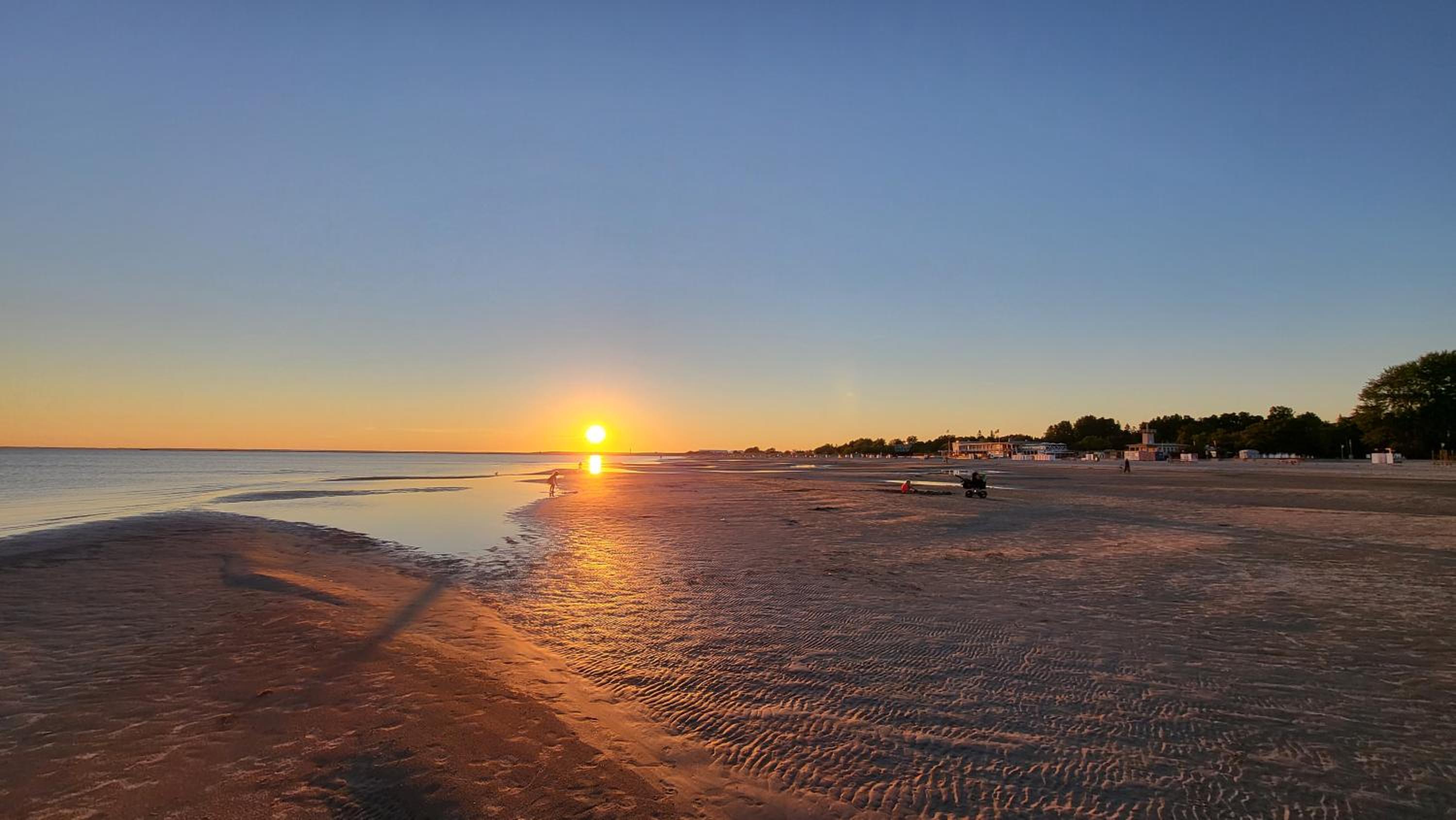 Pärnu Tulbi