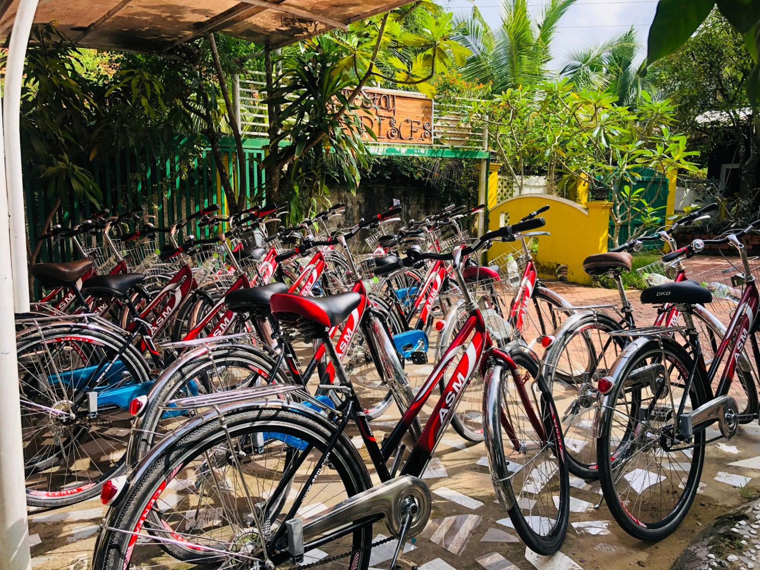 activities & amenities