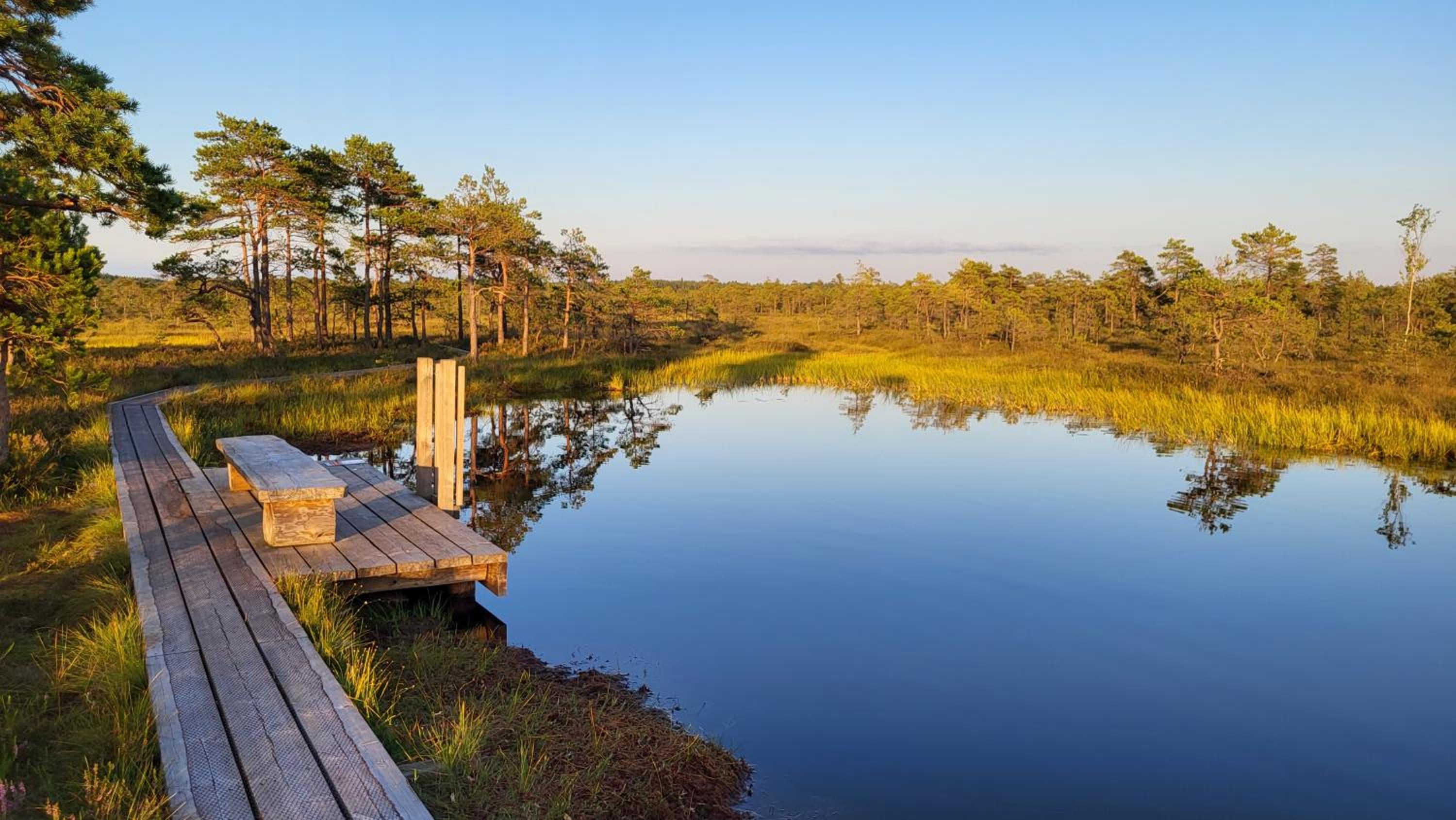 Pärnu Tulbi