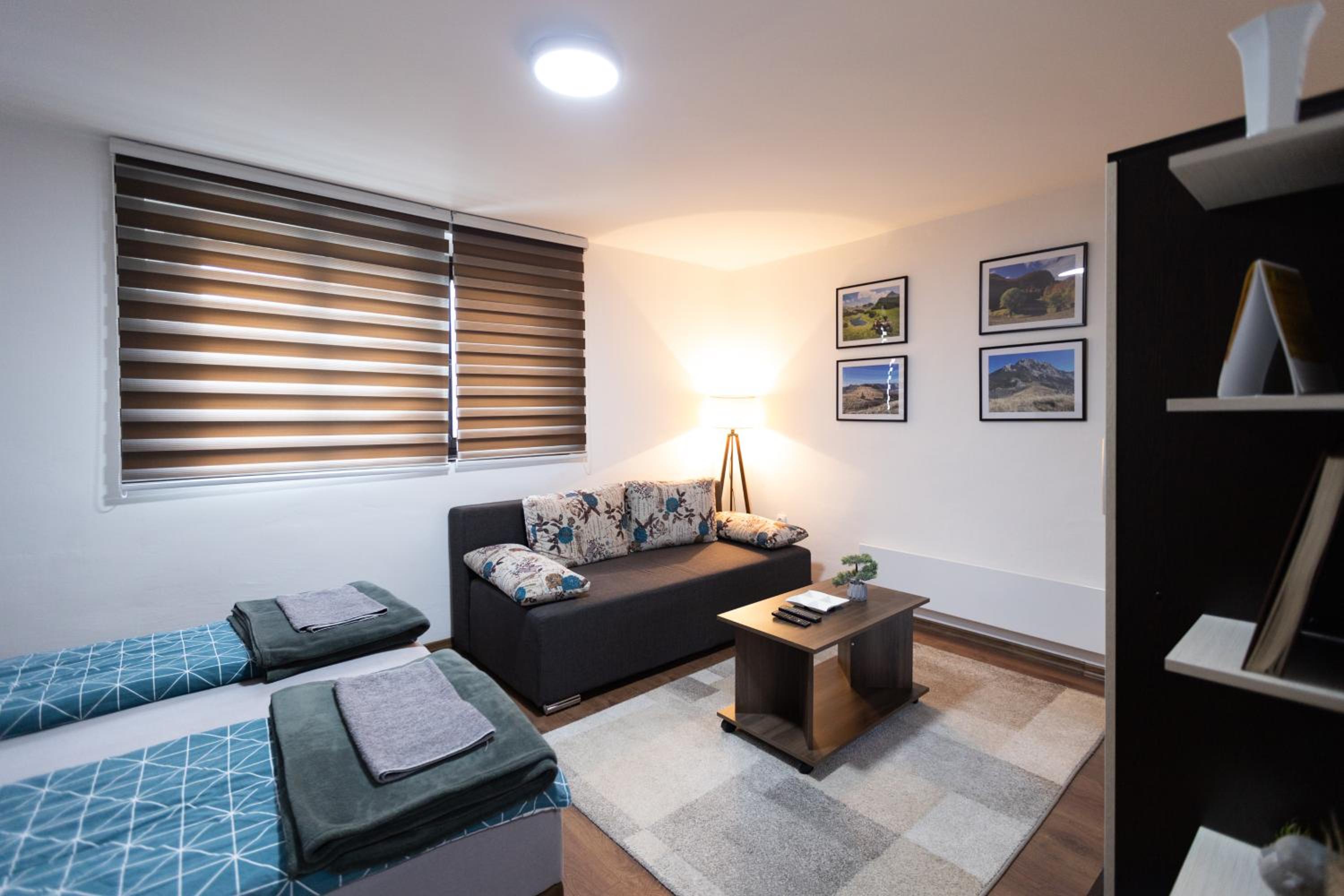 Apartman Zelengora view 3