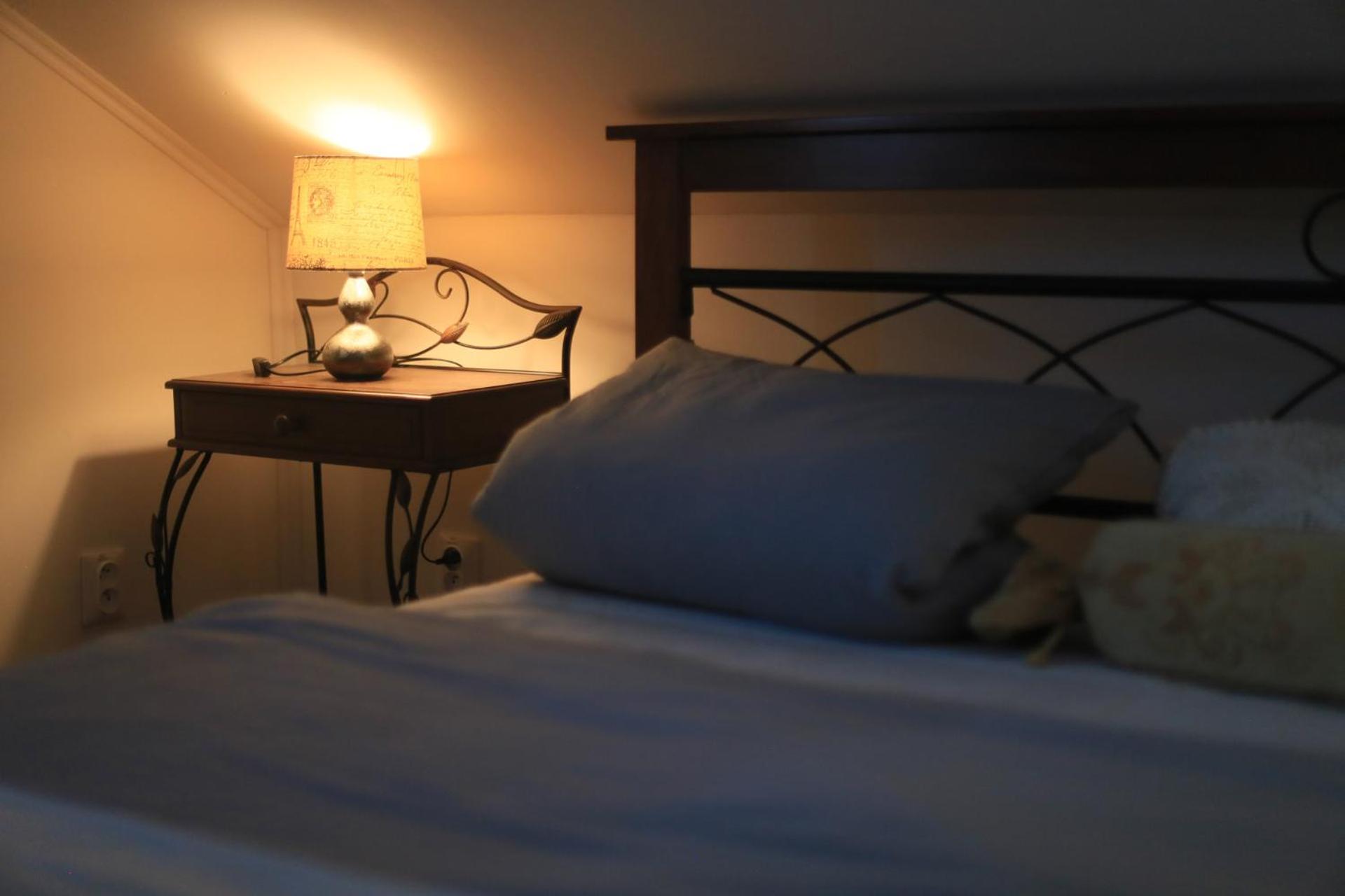 Penzión Florens, Nesvady