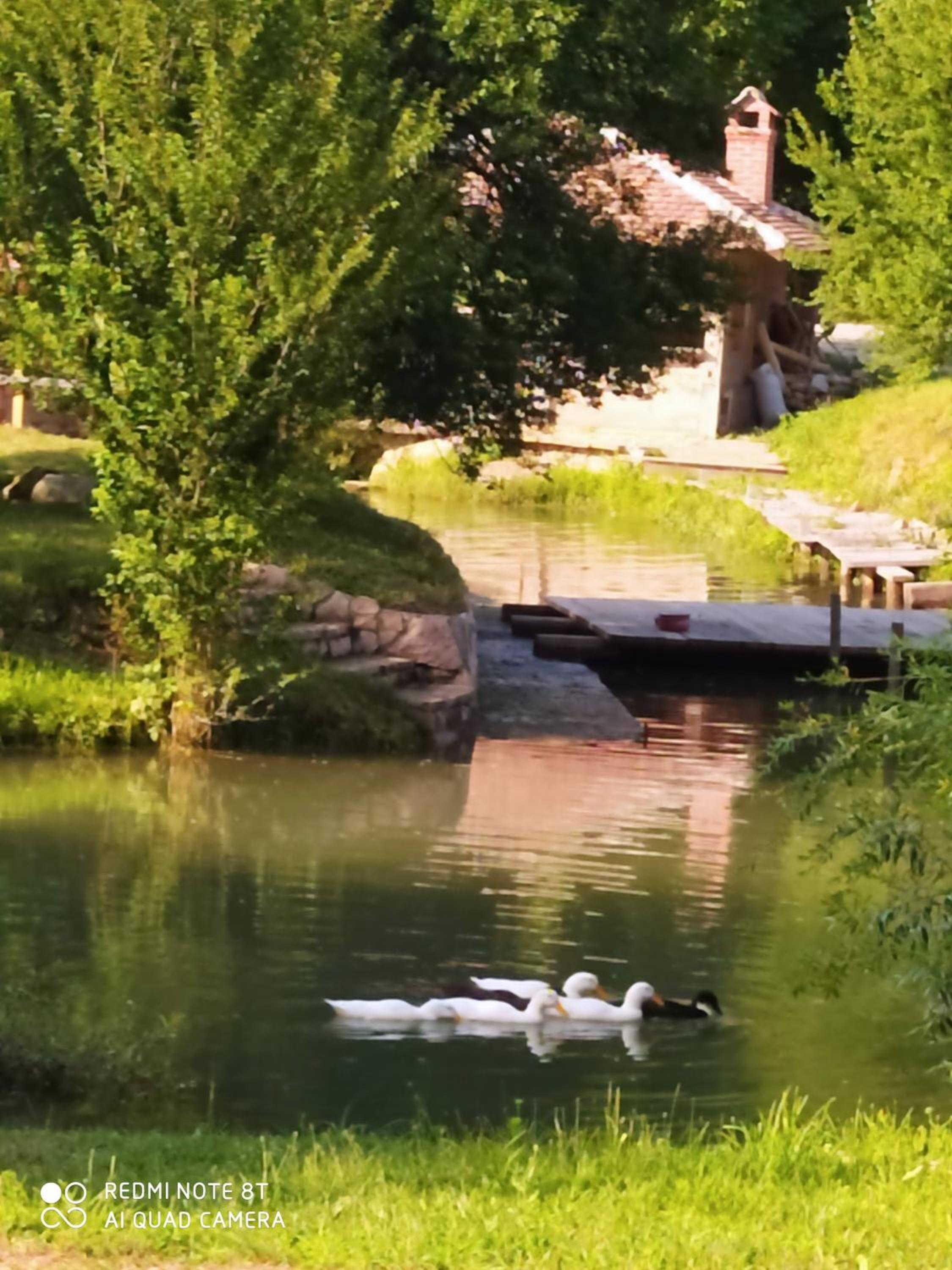 Photo 41