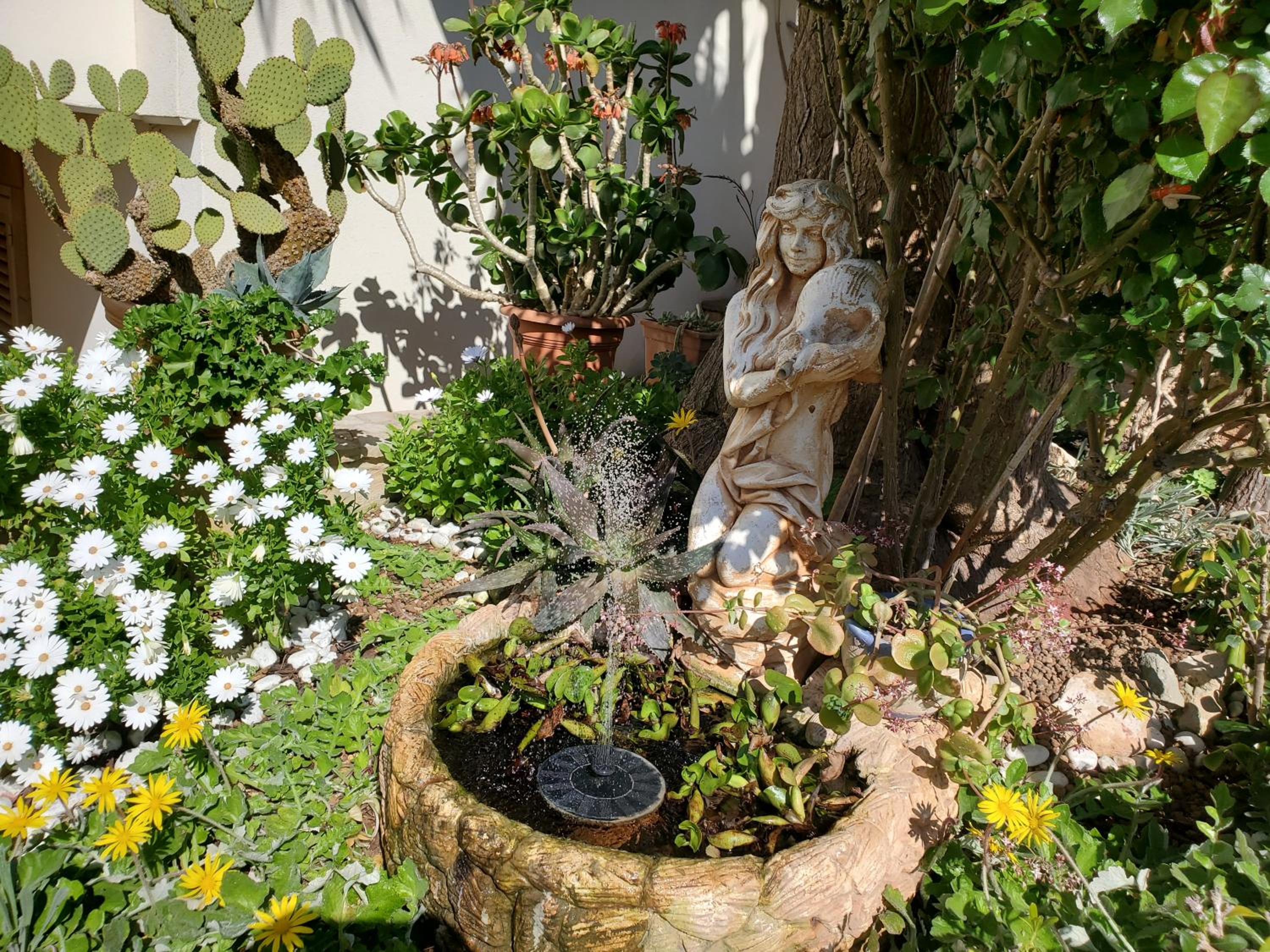 Photo 24