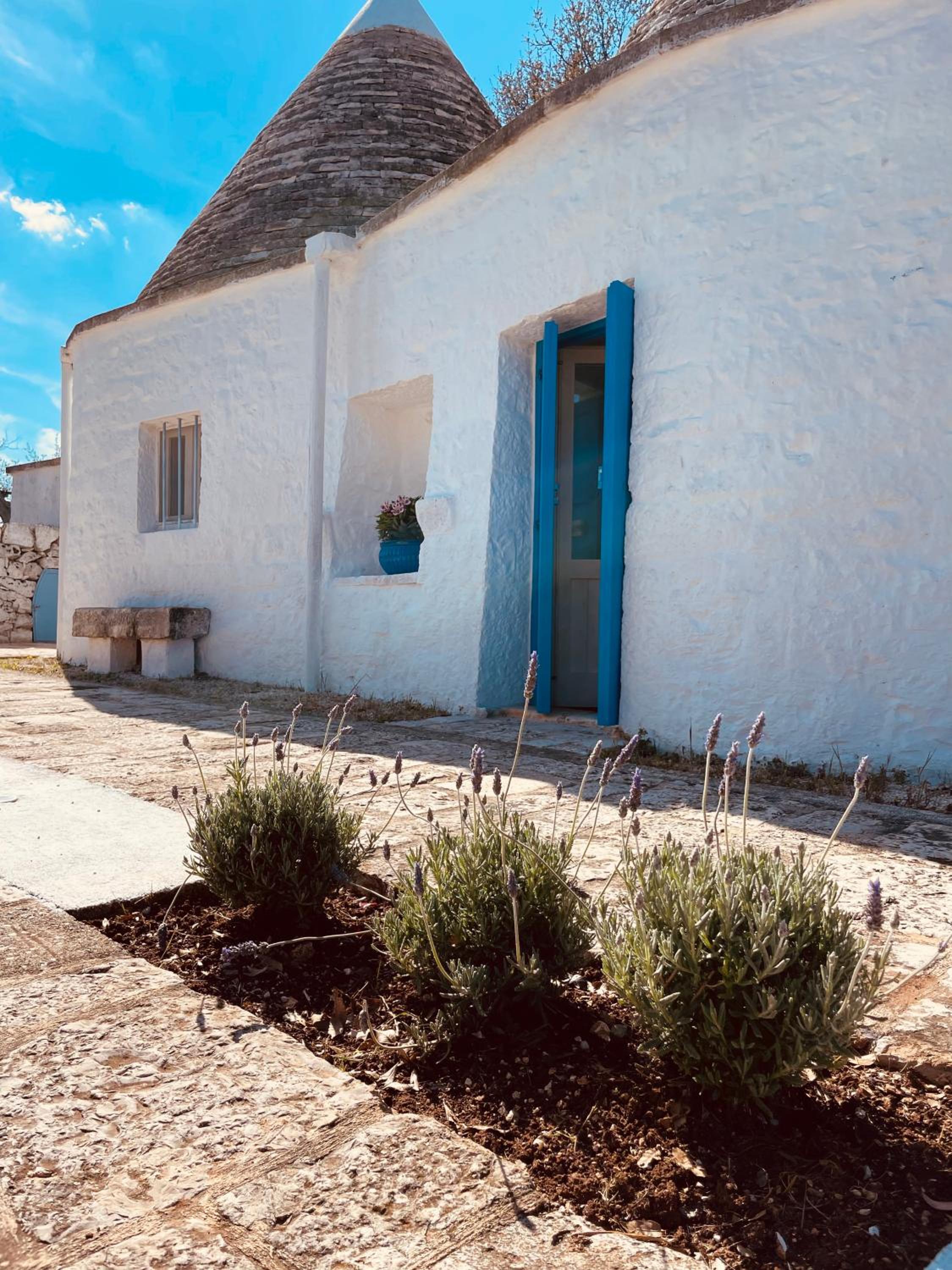 trulli mancinella