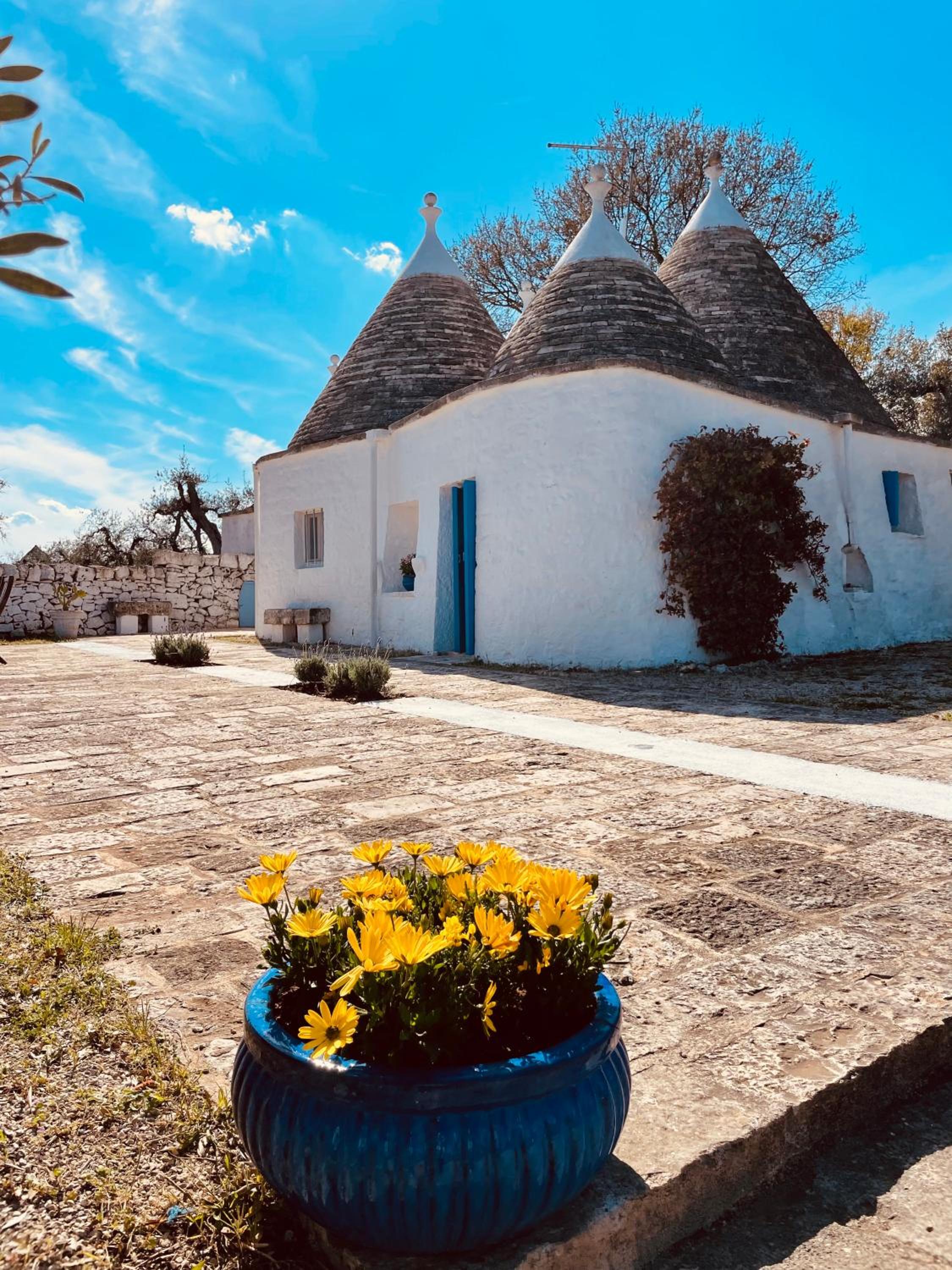 trulli mancinella