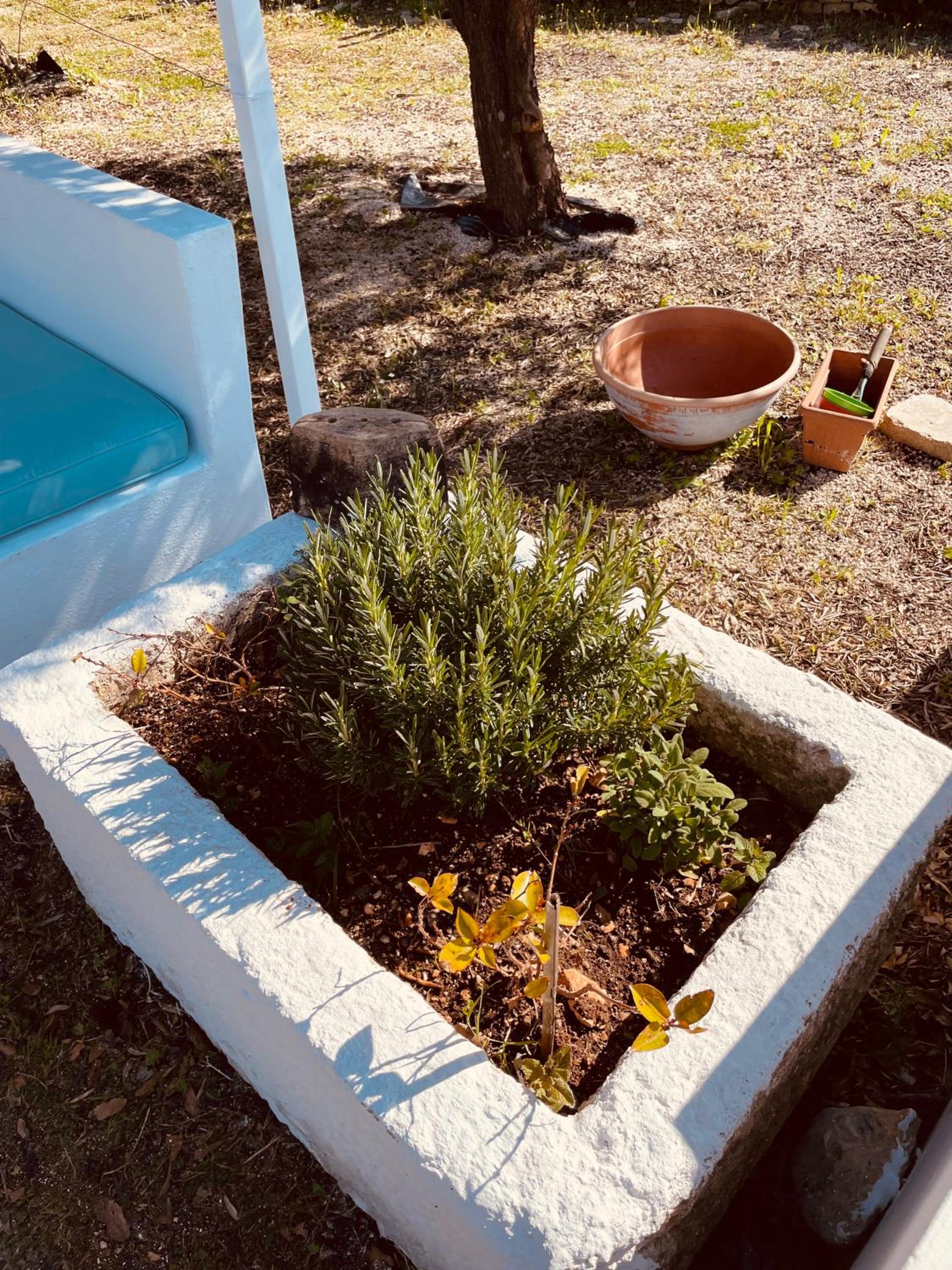 trulli mancinella