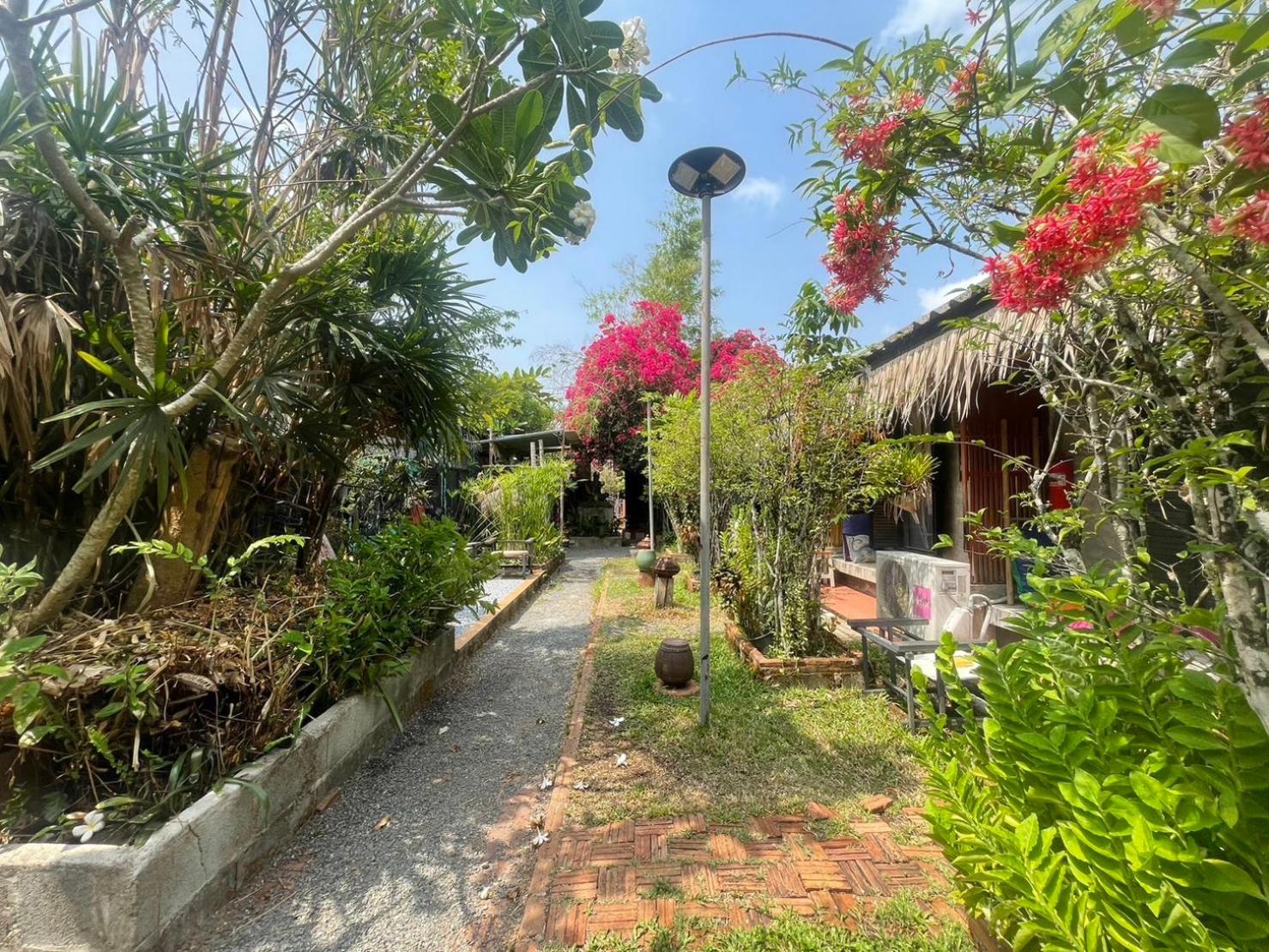 Artist's Place Trat