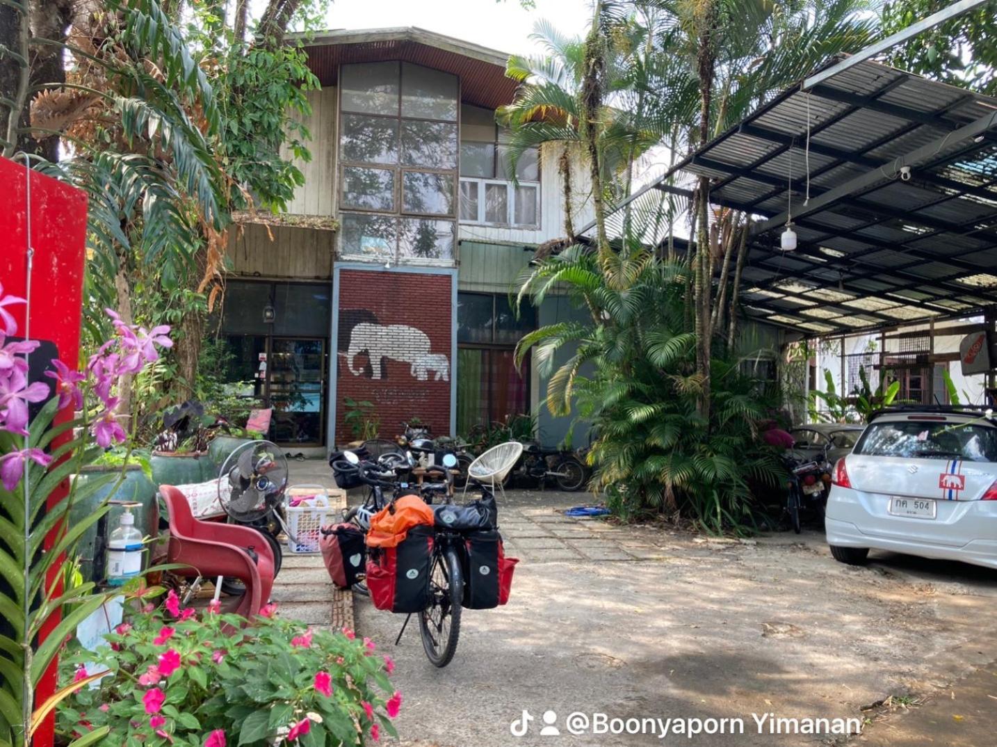 Artist's Place Trat