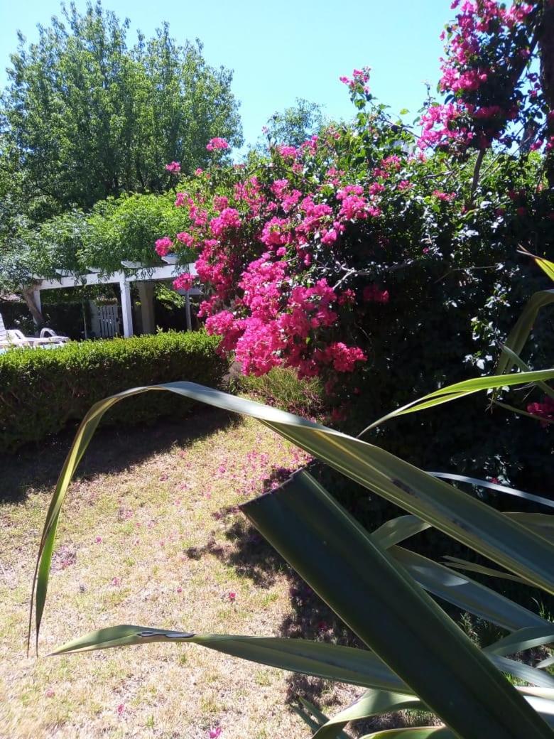La Quinta de Pablo