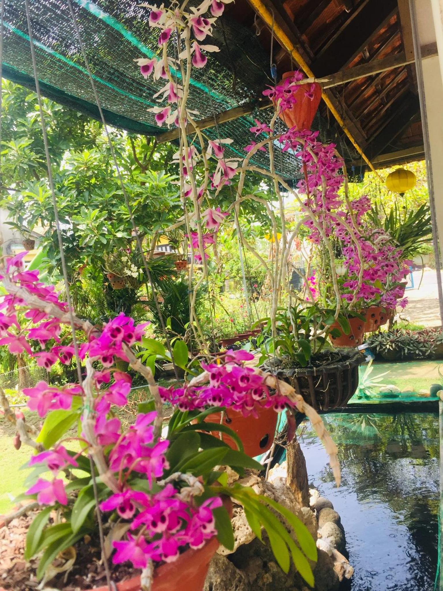 Do River Homestay